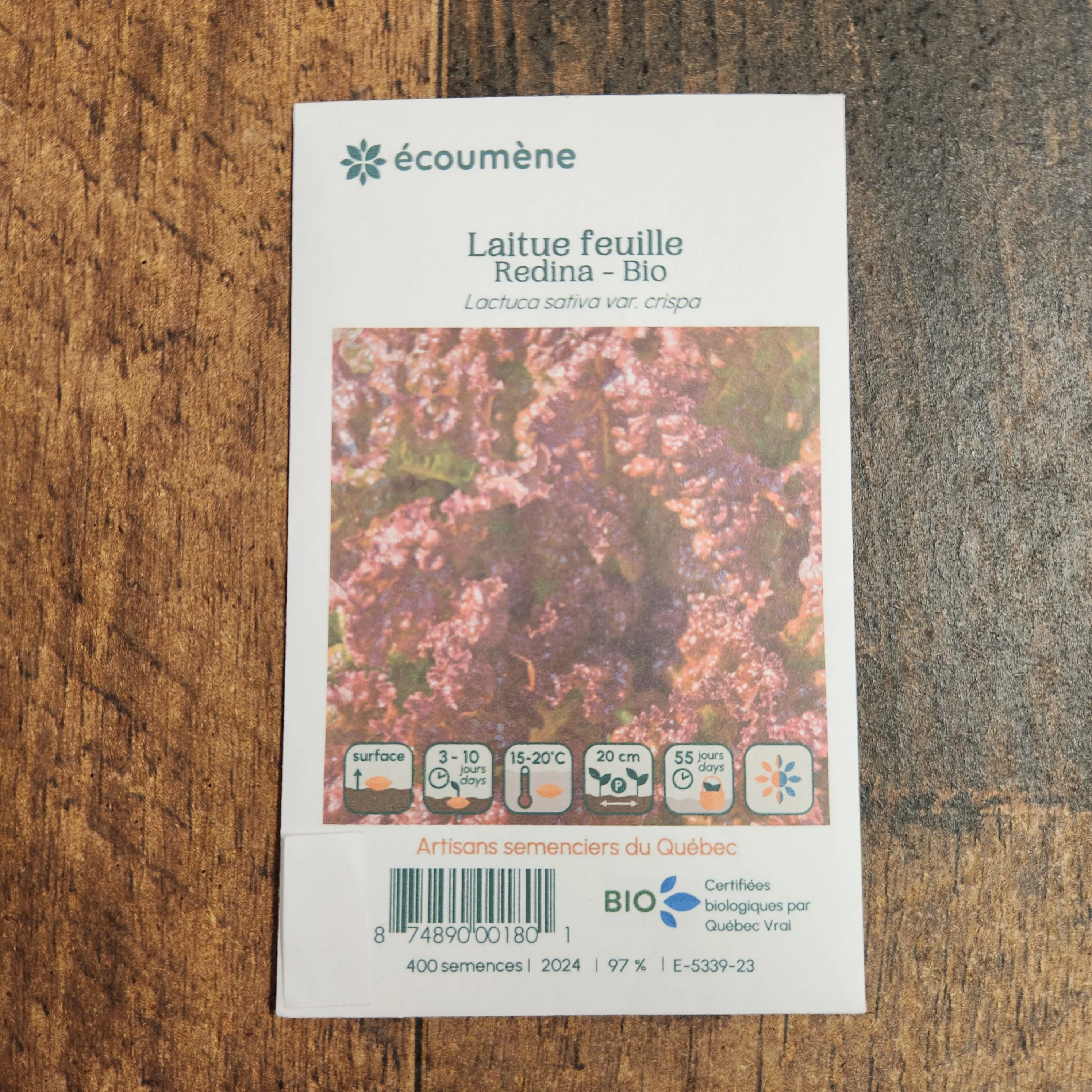 Laitue Feuille 'Redina' bio - Image 2