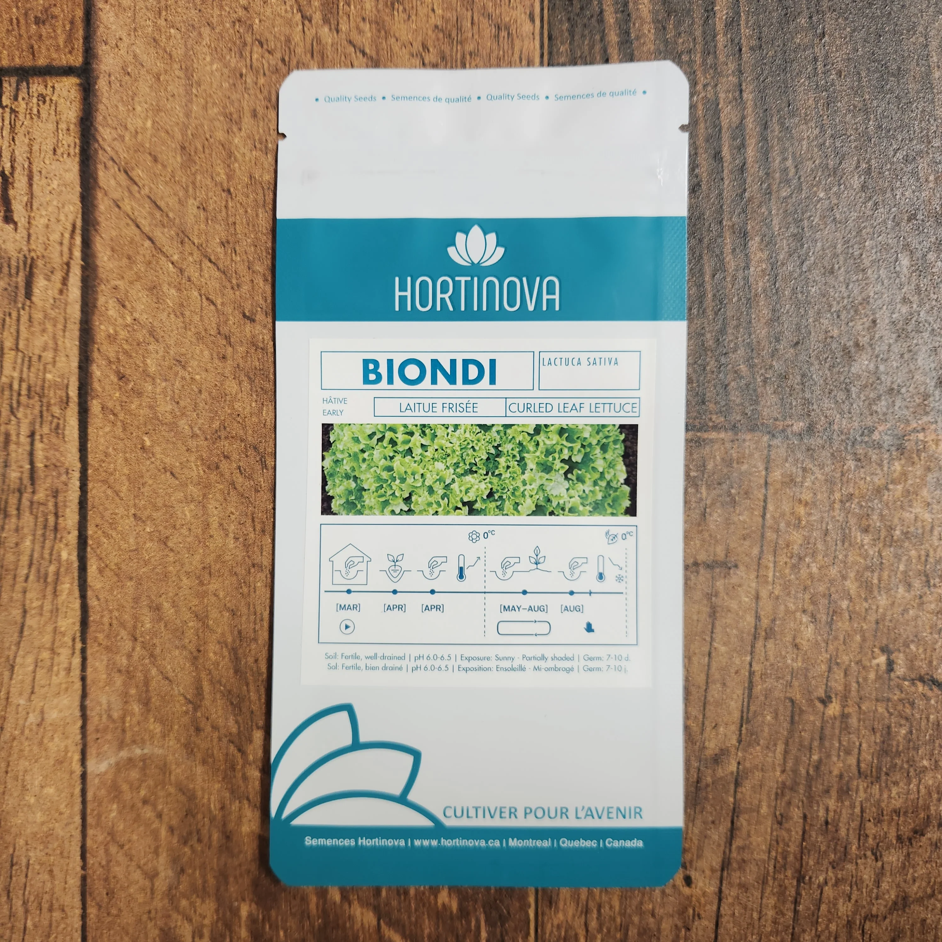 Laitue Frisée Verte 'BIONDI' - Image 2