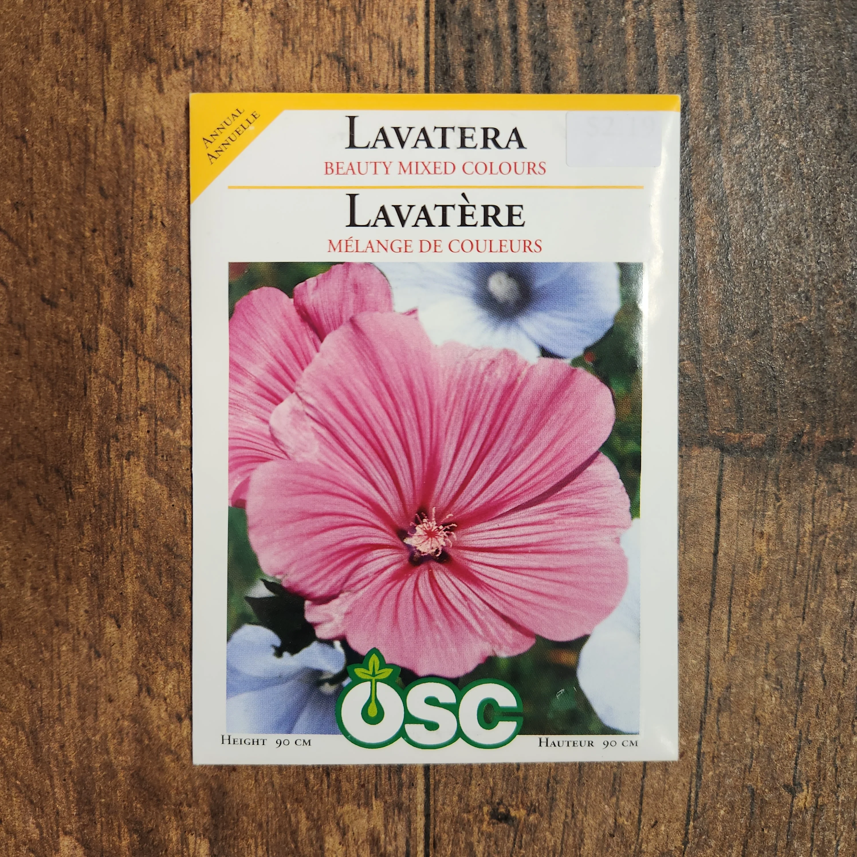Lavatère 'Couleurs Mixtes' - Image 2