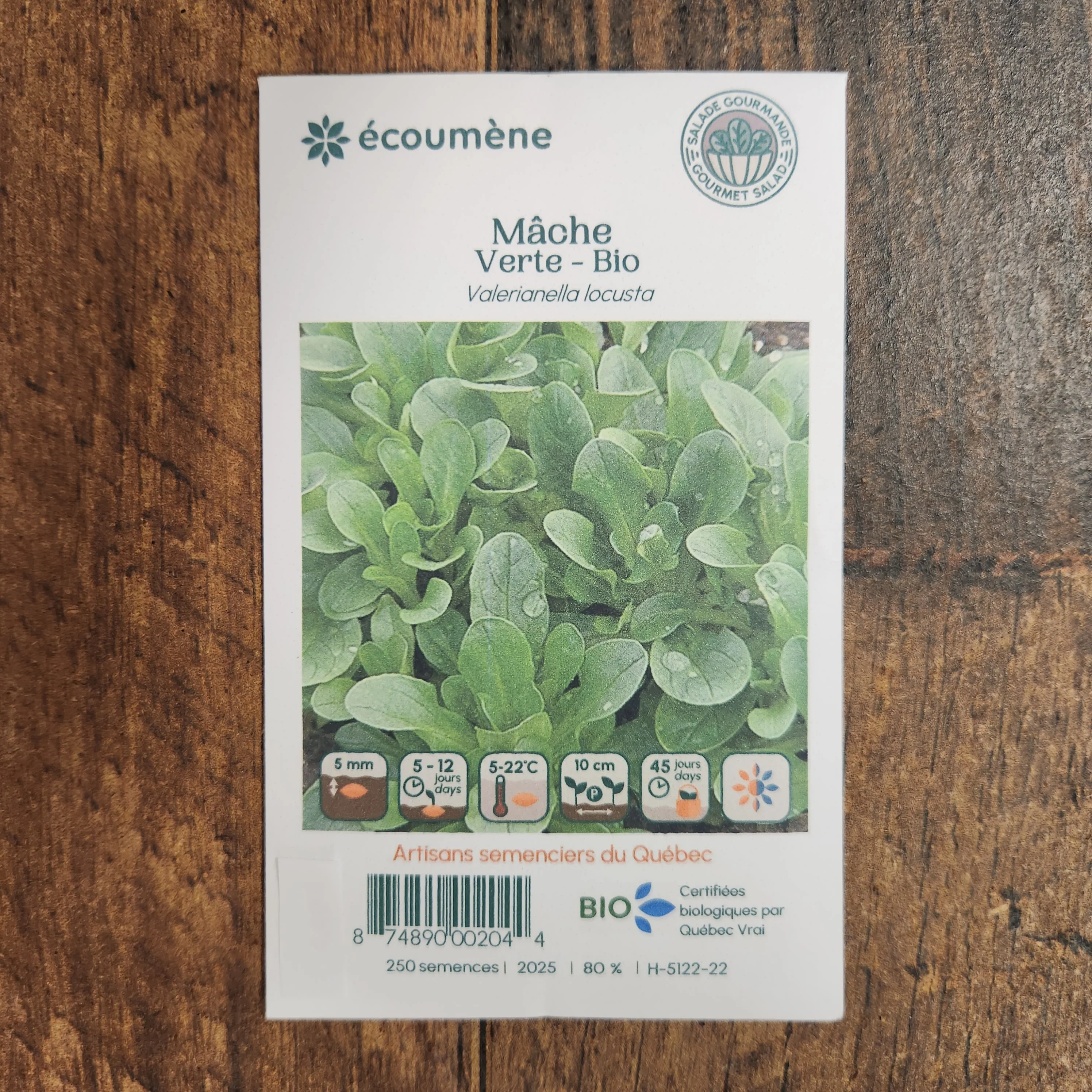 Mâche Verte bio - Image 2