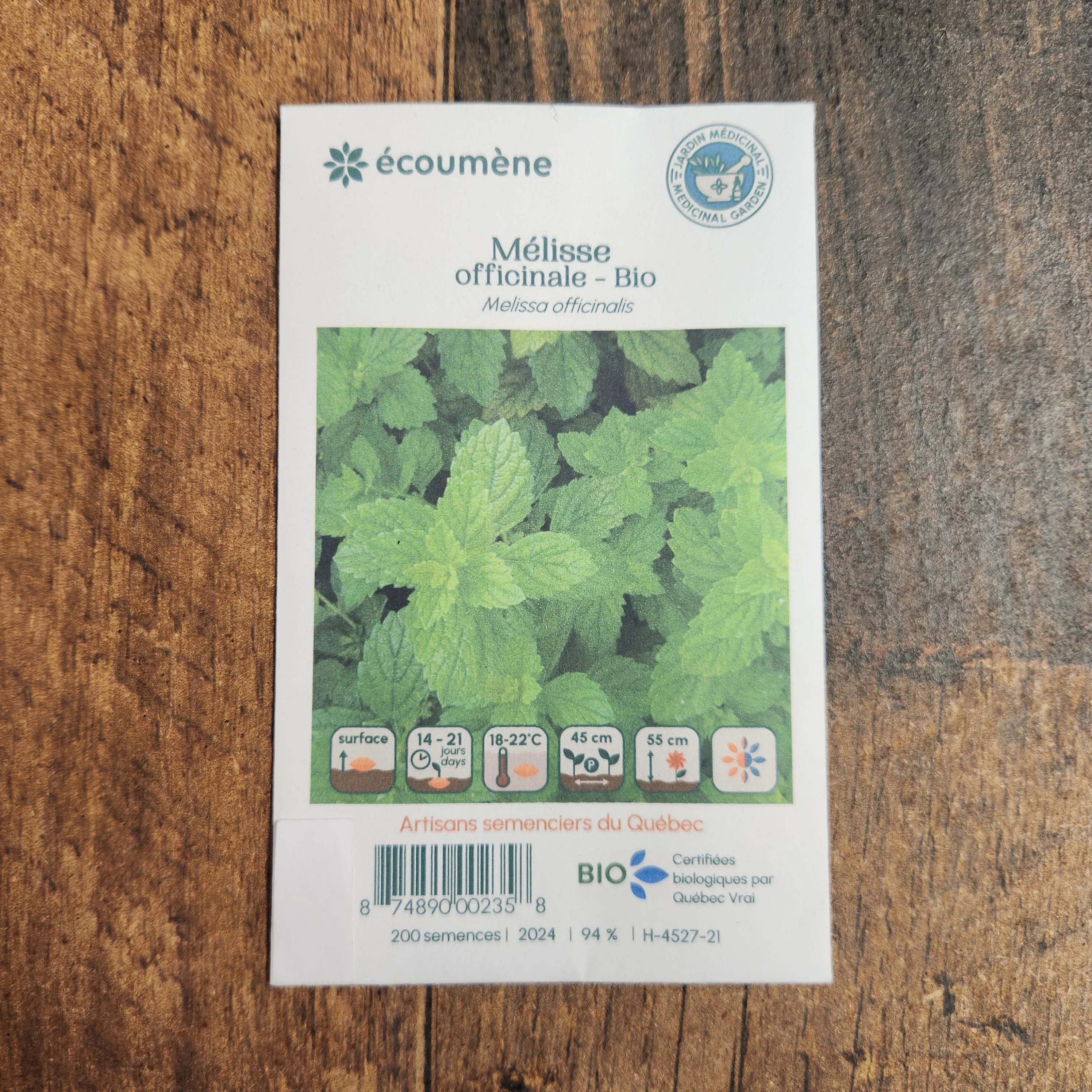 Mélisse officinale bio - Image 2