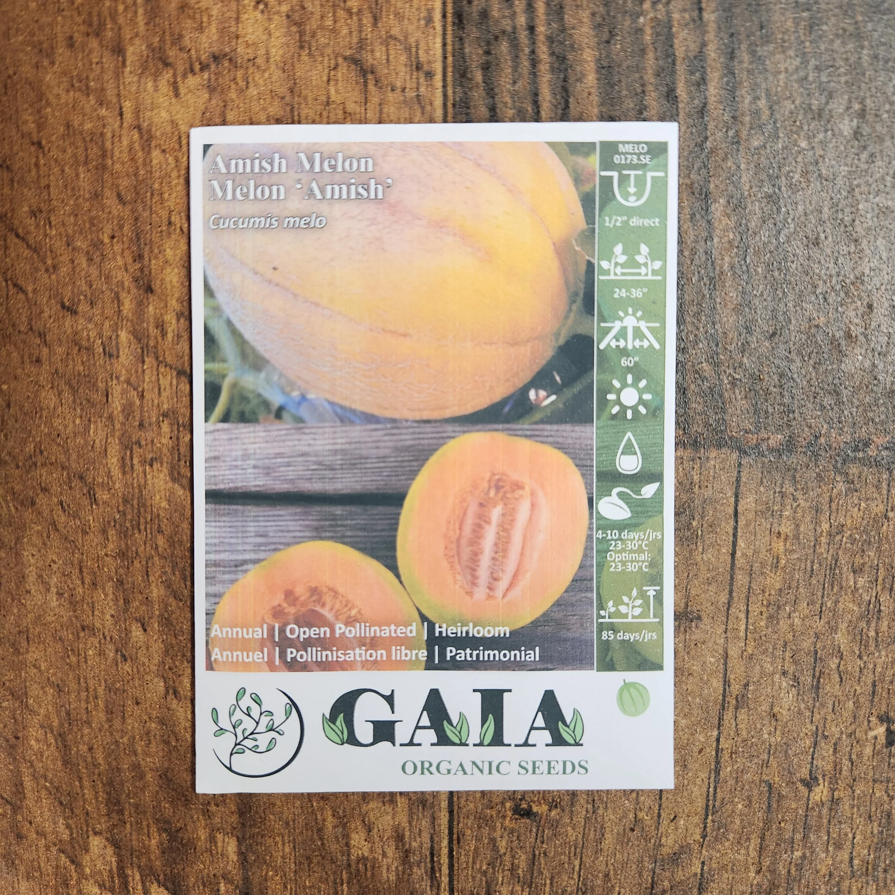 Melon 'Amish' bio - Image 2