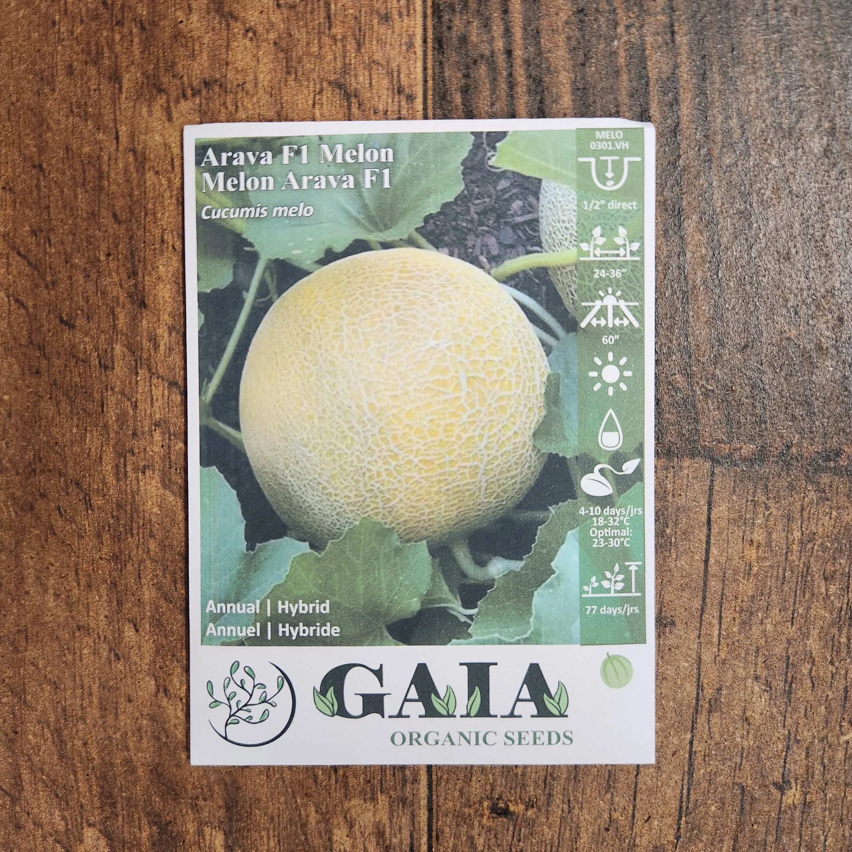 Melon miel 'Arava F1' bio - Image 2