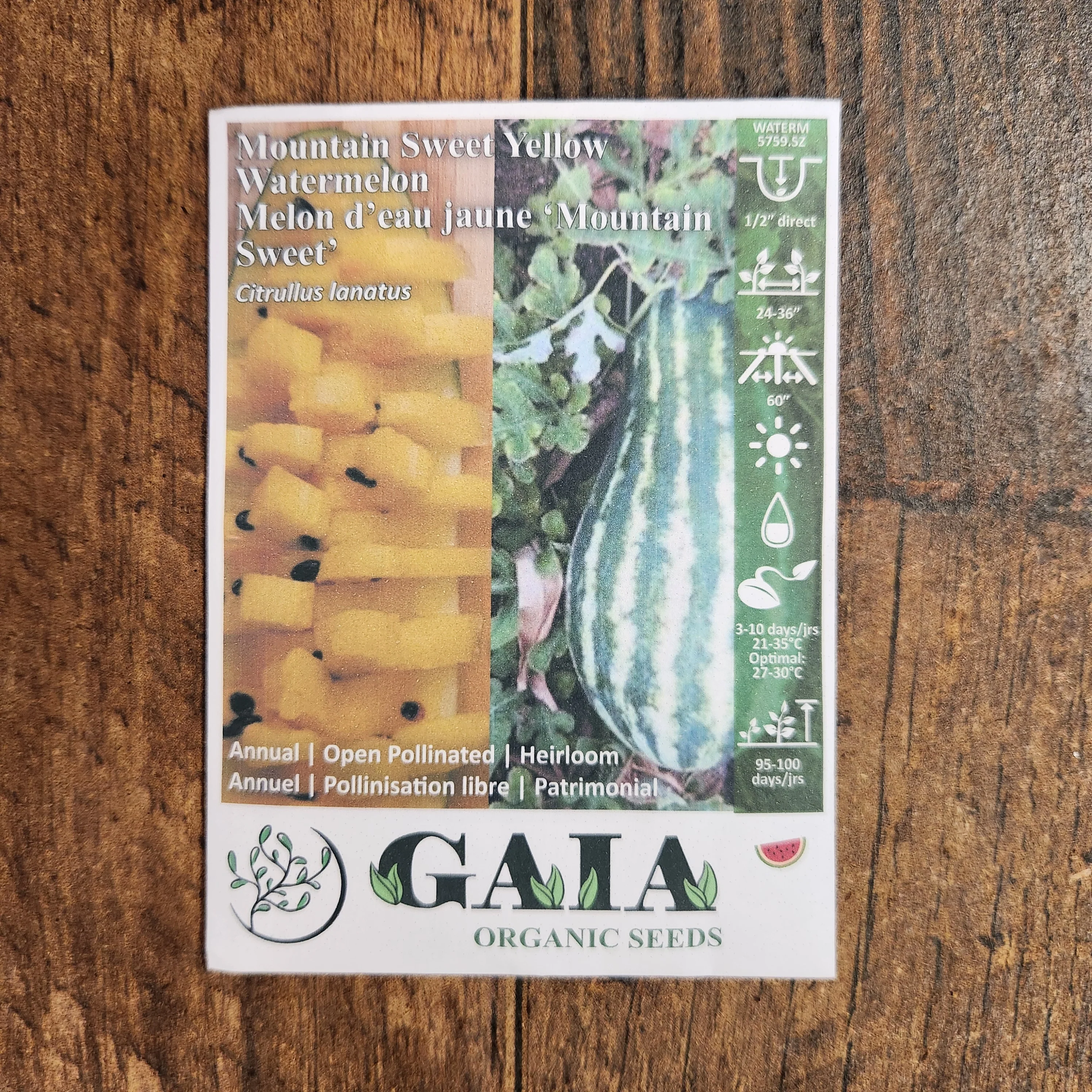 Melon d'eau 'Mountain Sweet Yellow' bio - Image 2