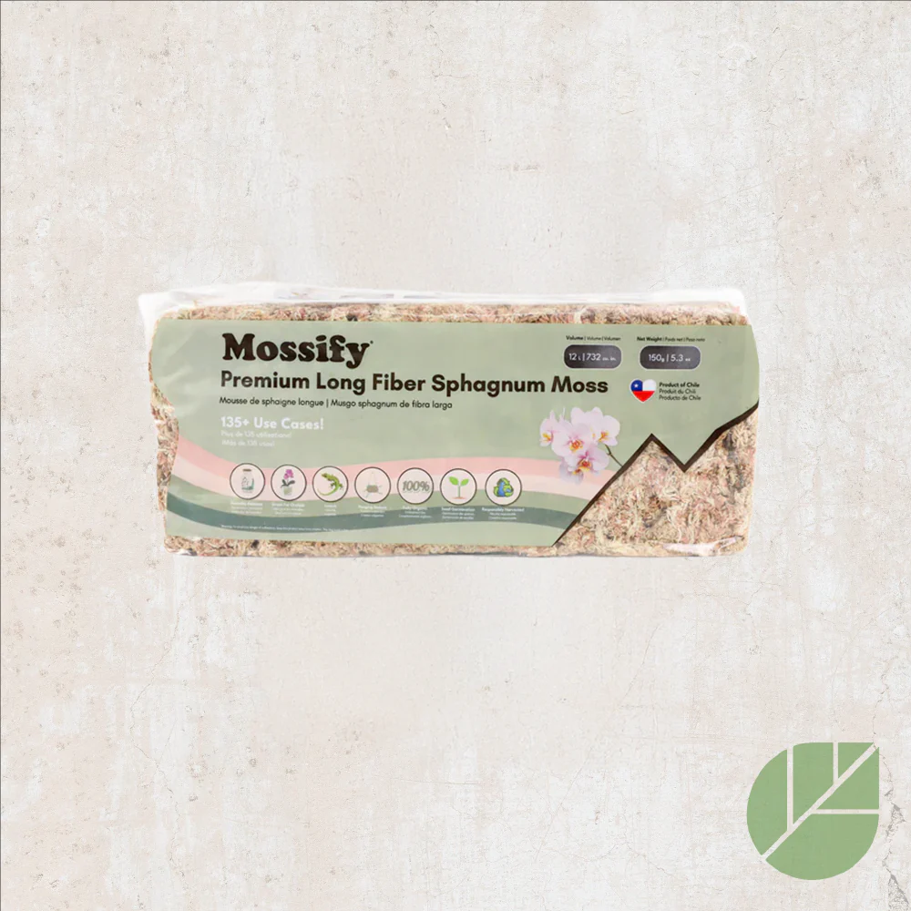 Mousse de sphaigne Mossify - Image 2