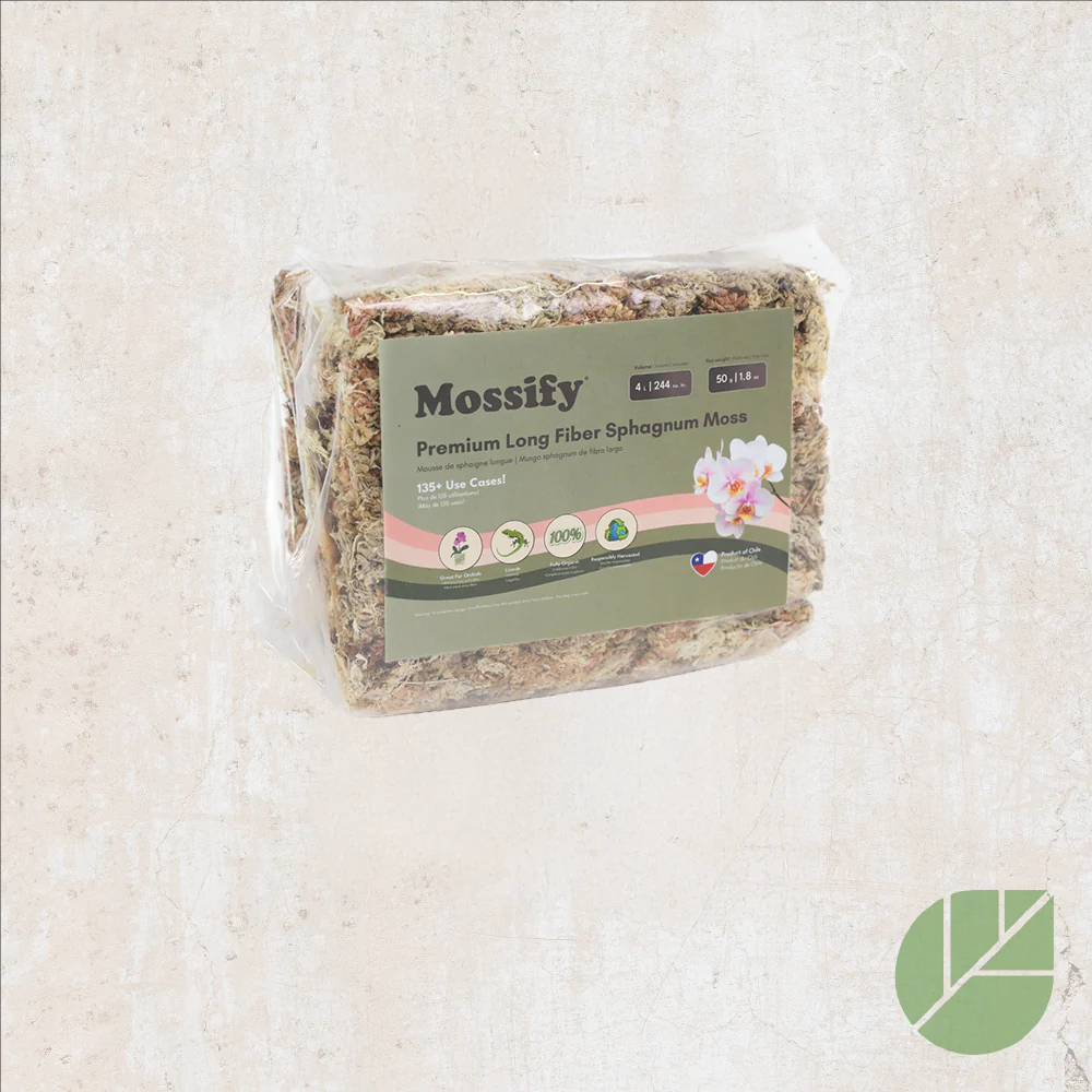 Mousse de sphaigne Mossify - Image 3