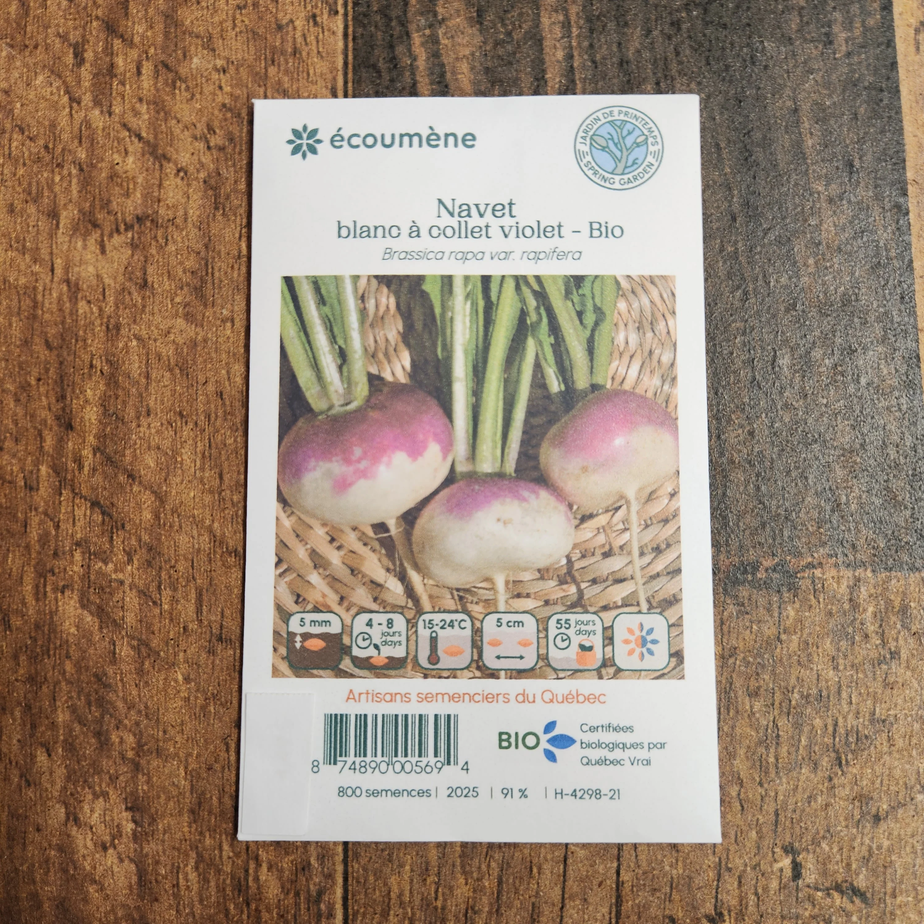 Navet Blanc à Collet Violet bio - Image 2
