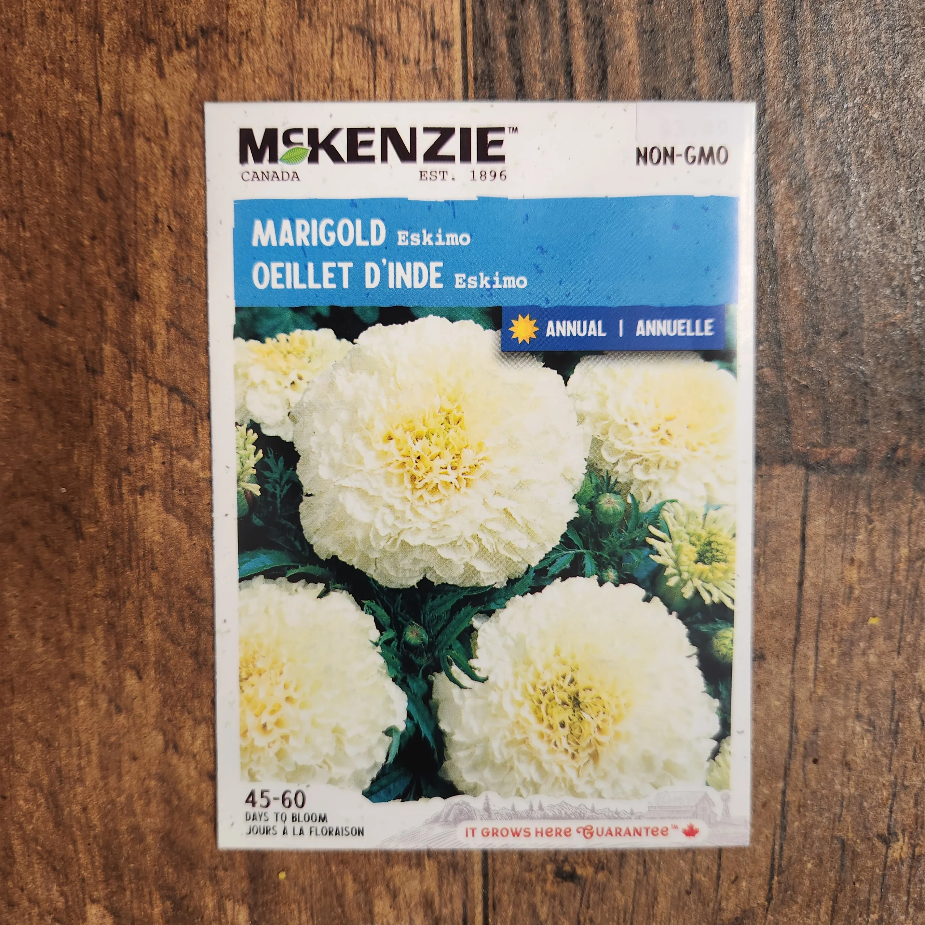 Oeillet d'inde 'Eskimo'