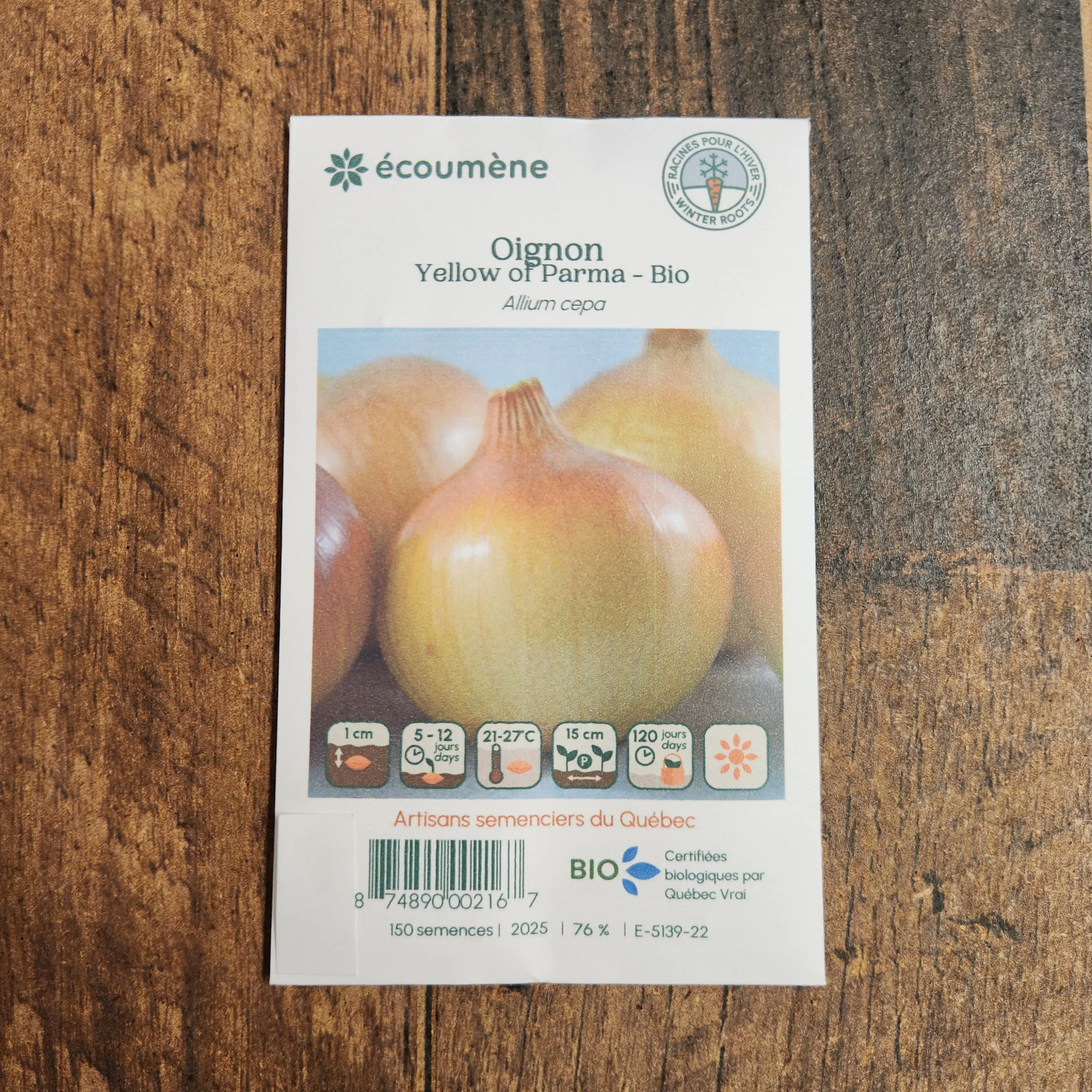 Oignon 'Yellow of Parma' bio