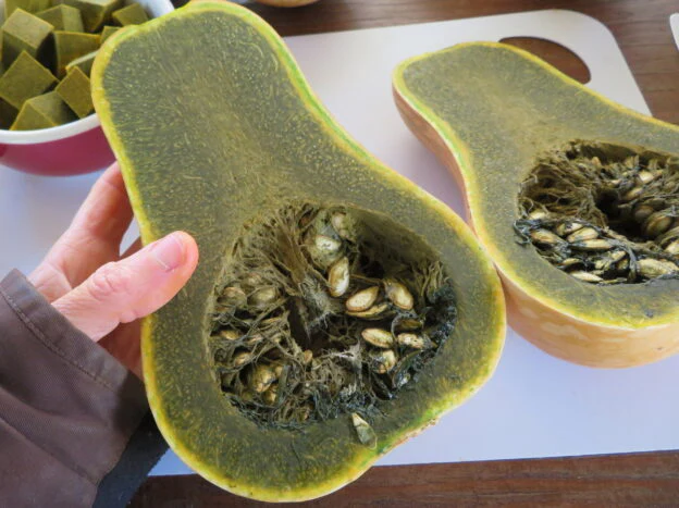 Courge verte 'Ayote'