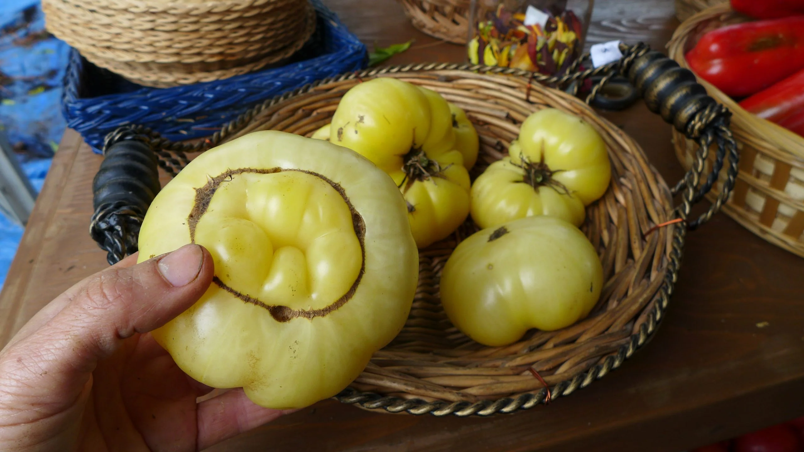 Tomate 'Fantôme du Laos'