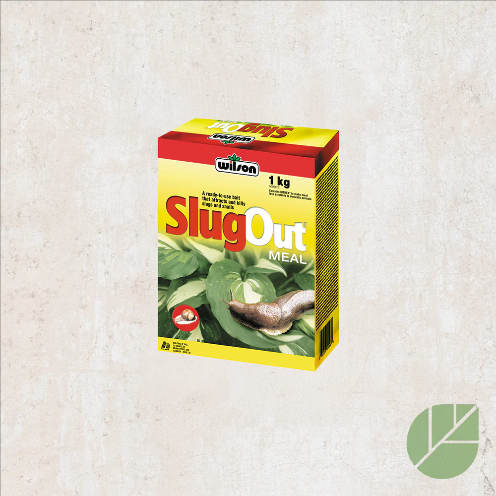 Pastilles appâts SLUGOUT Wilson