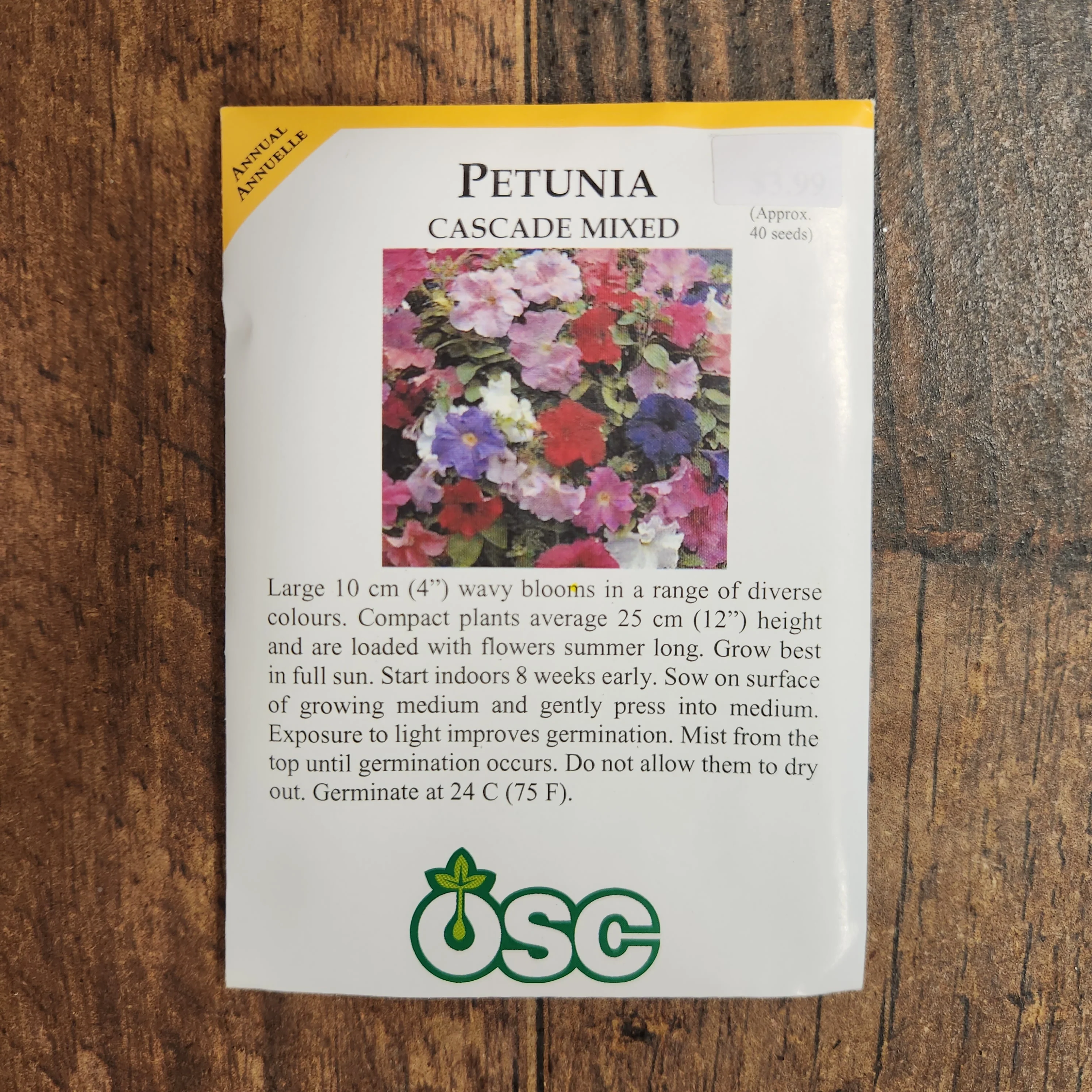 Pétunia cascade 'Mix' - Image 2