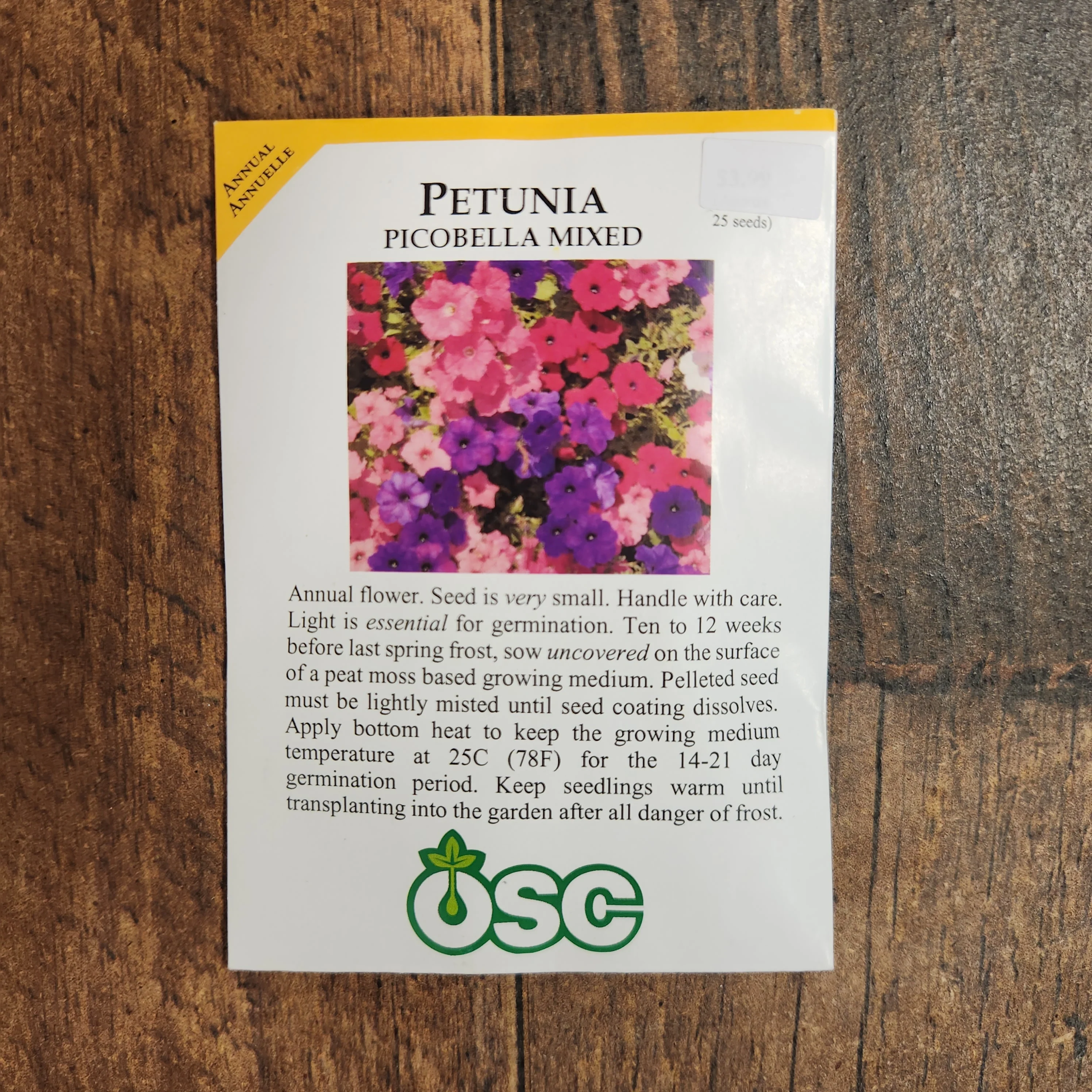 Pétunia multiflora 'Picobella Mix' - Image 2