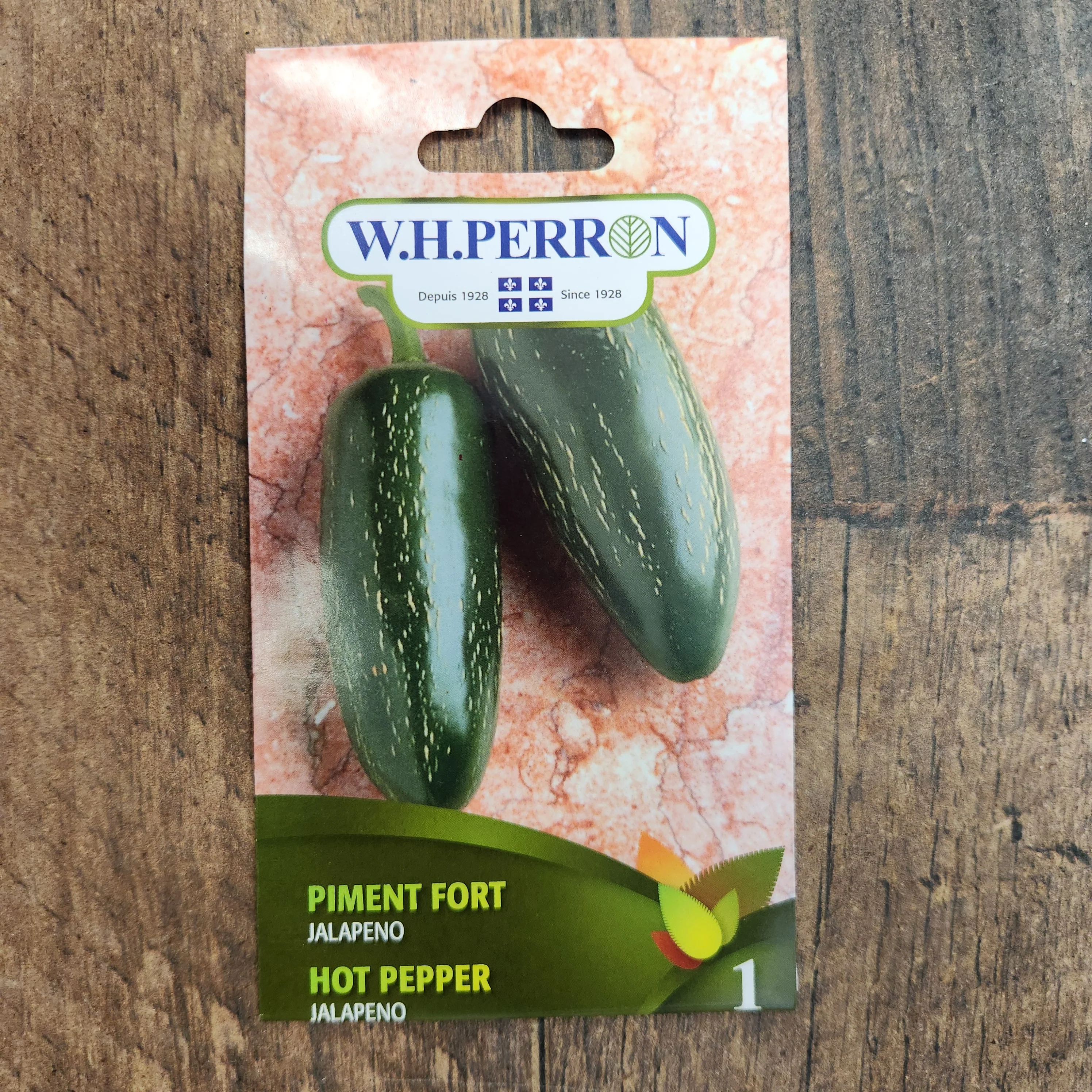 Piment fort 'Jalapeno' vert - Image 2