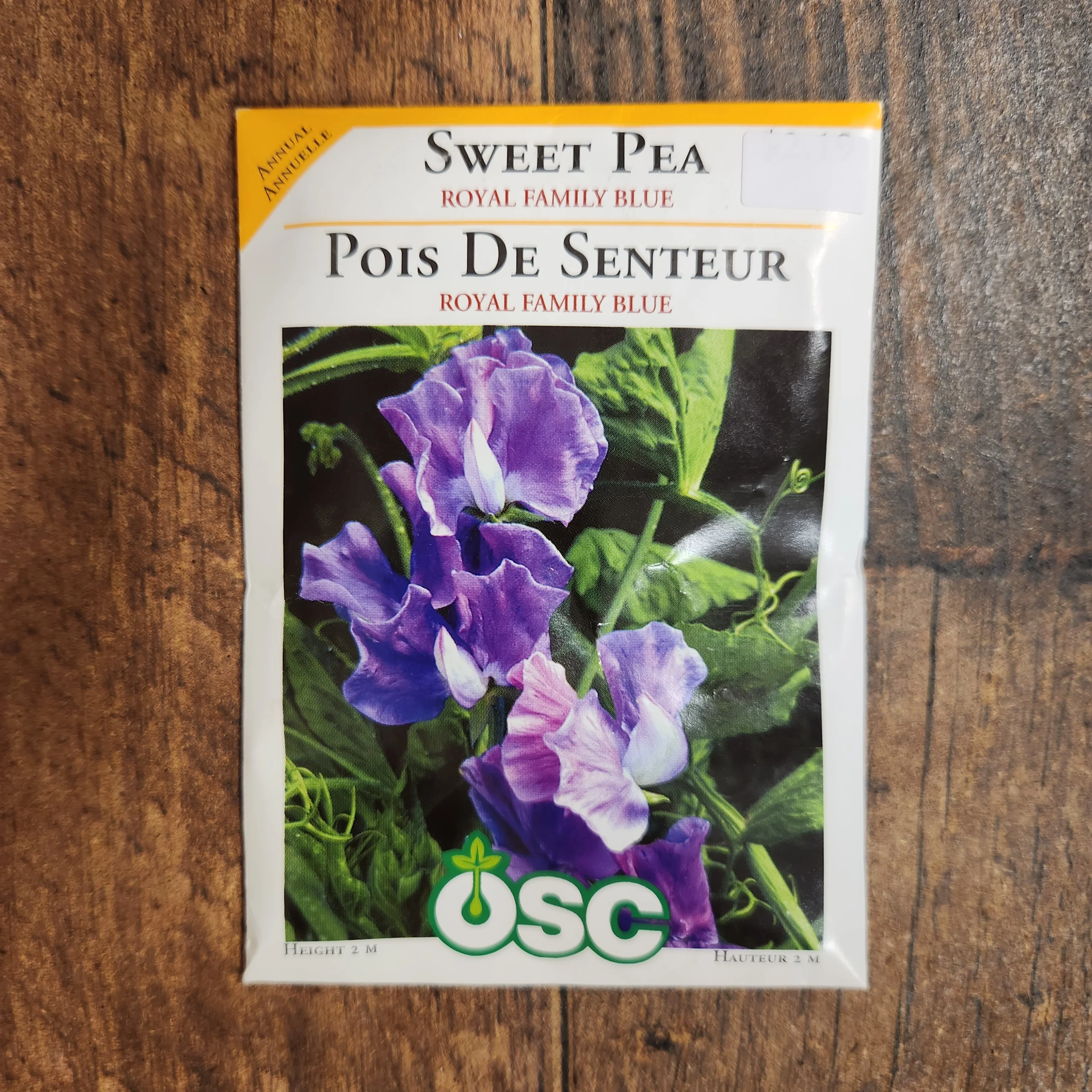 Pois de senteur 'Royal Family Blue' - Image 2