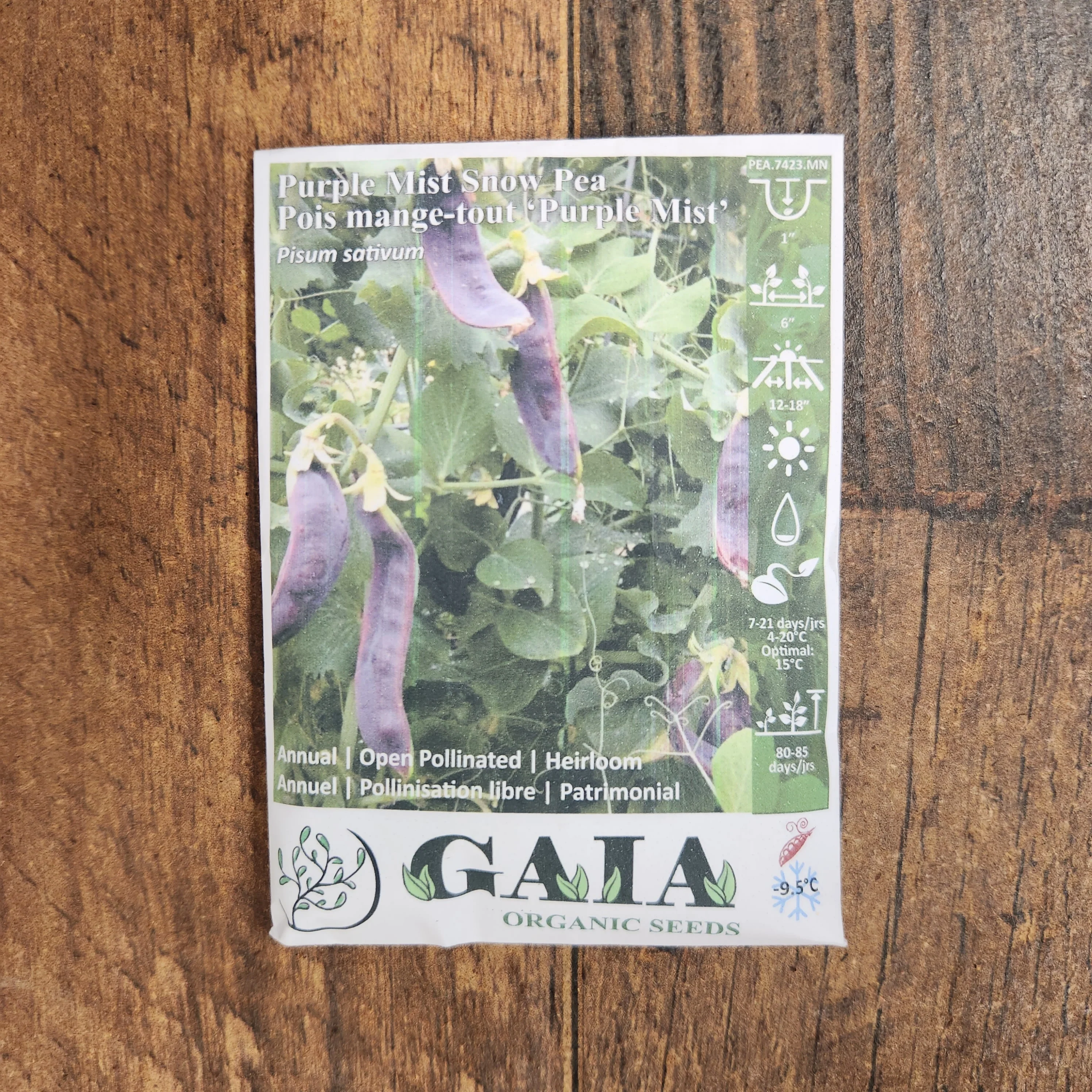 Pois mange-tout 'Purple Mist' bio - Image 2
