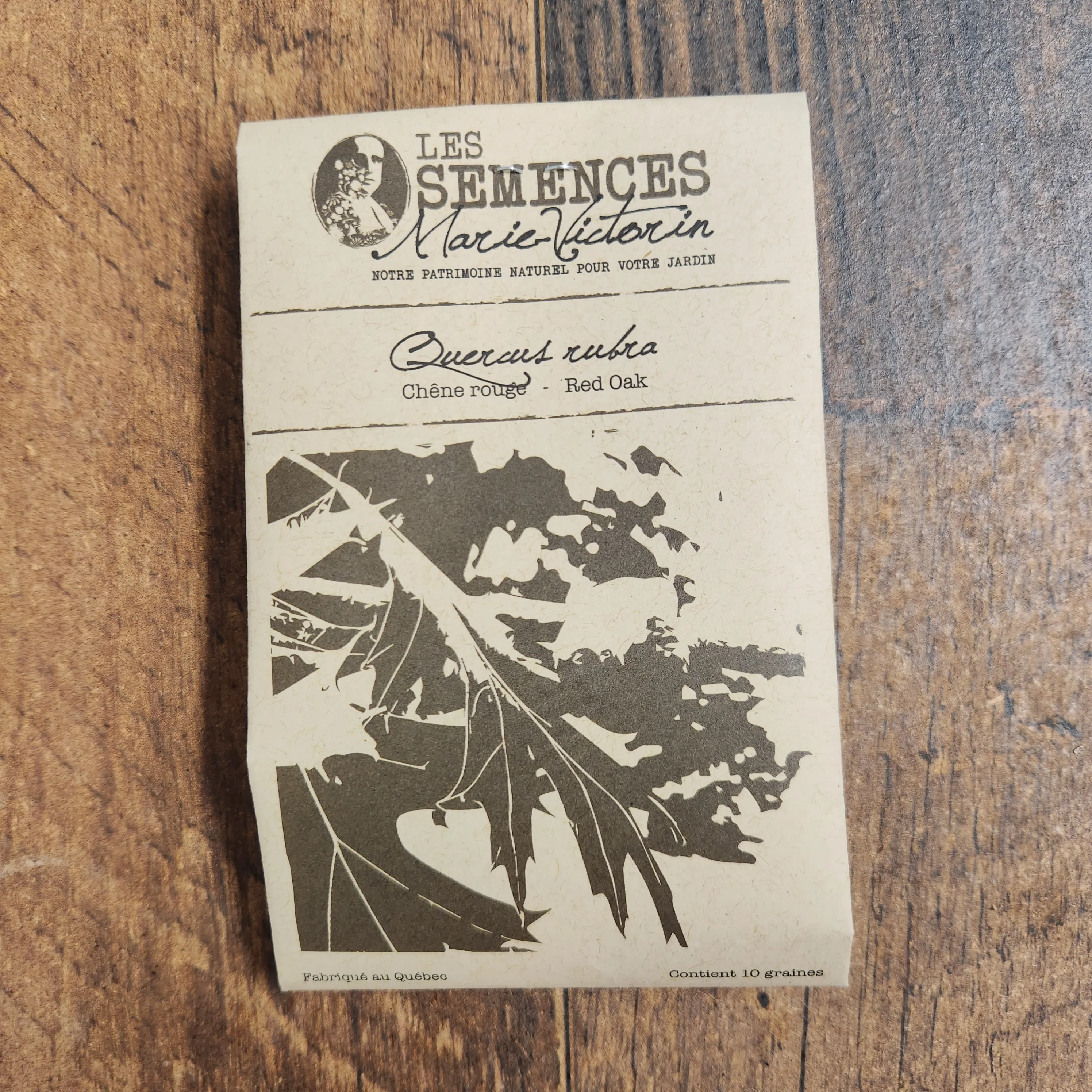 Chêne rouge - Image 2
