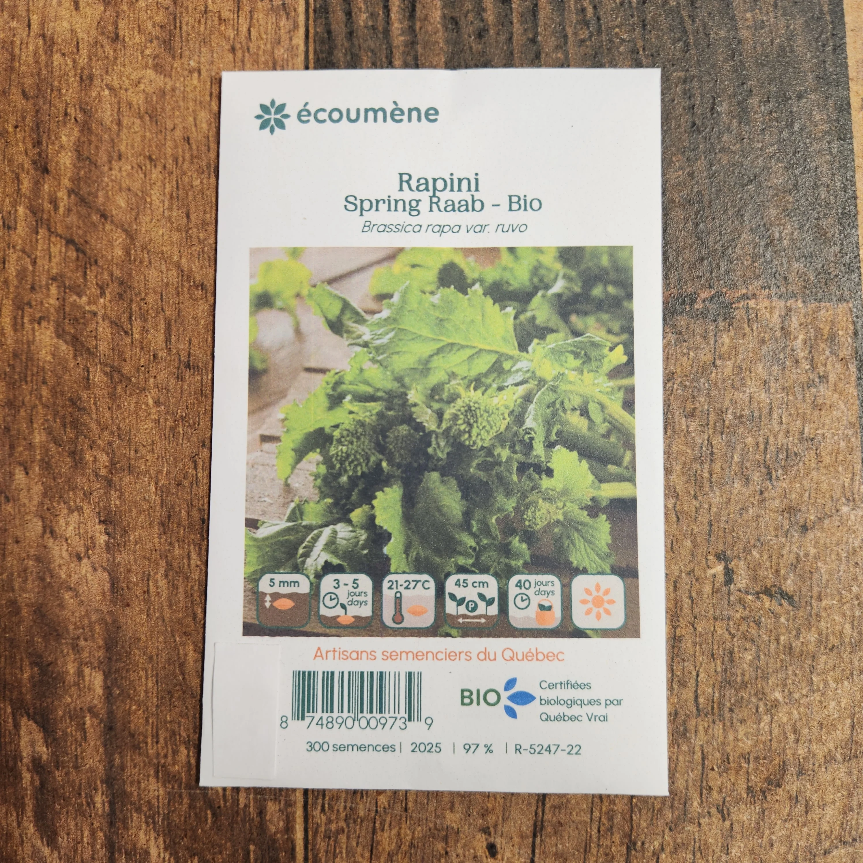 Rapini 'Spring Raab' bio - Image 2