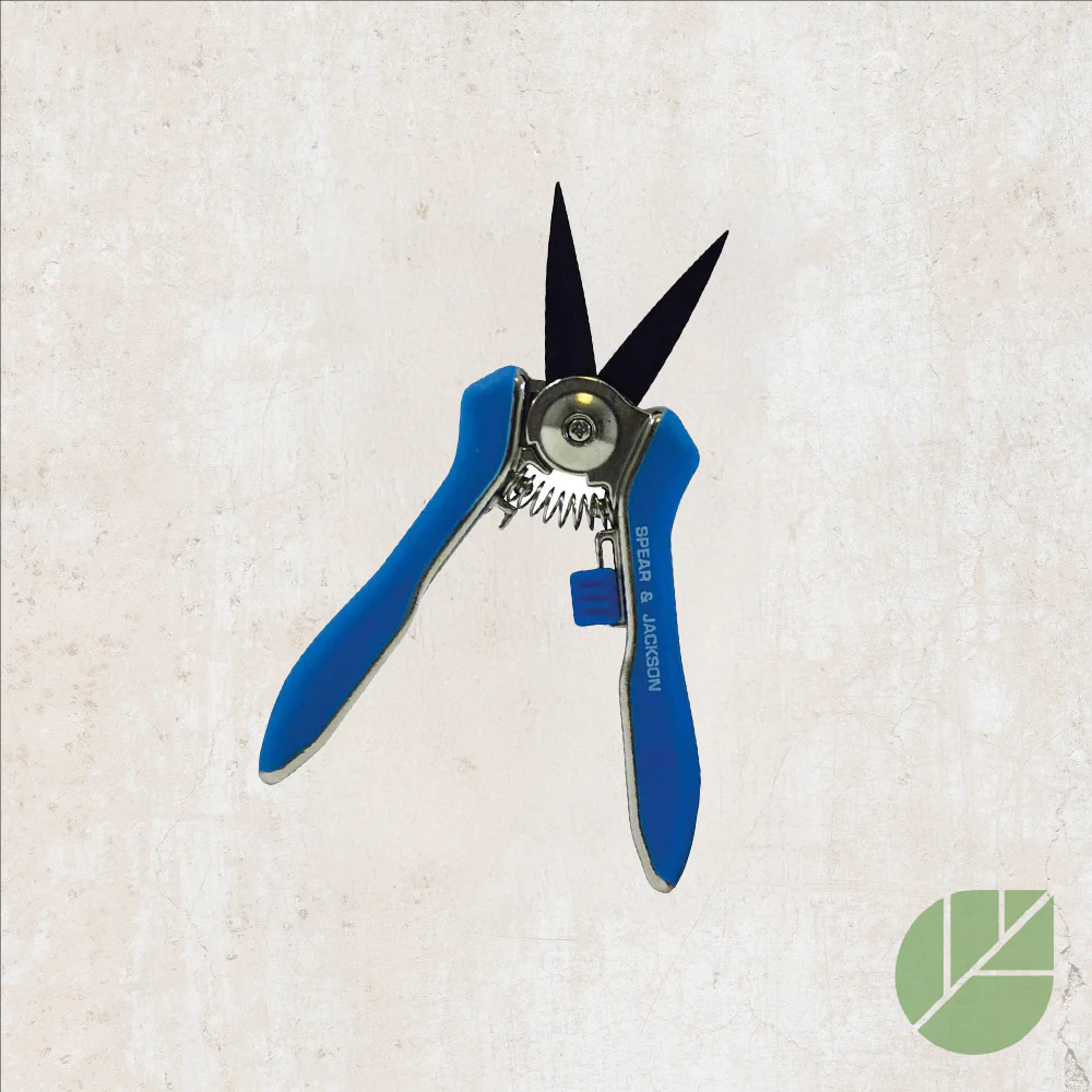 Mini cisailles S&J - Couleur bleue