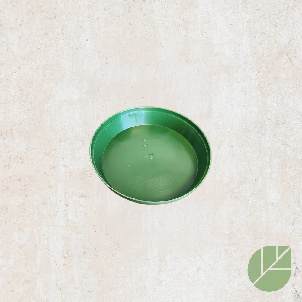Soucoupe verte en plastique pour pot de culture