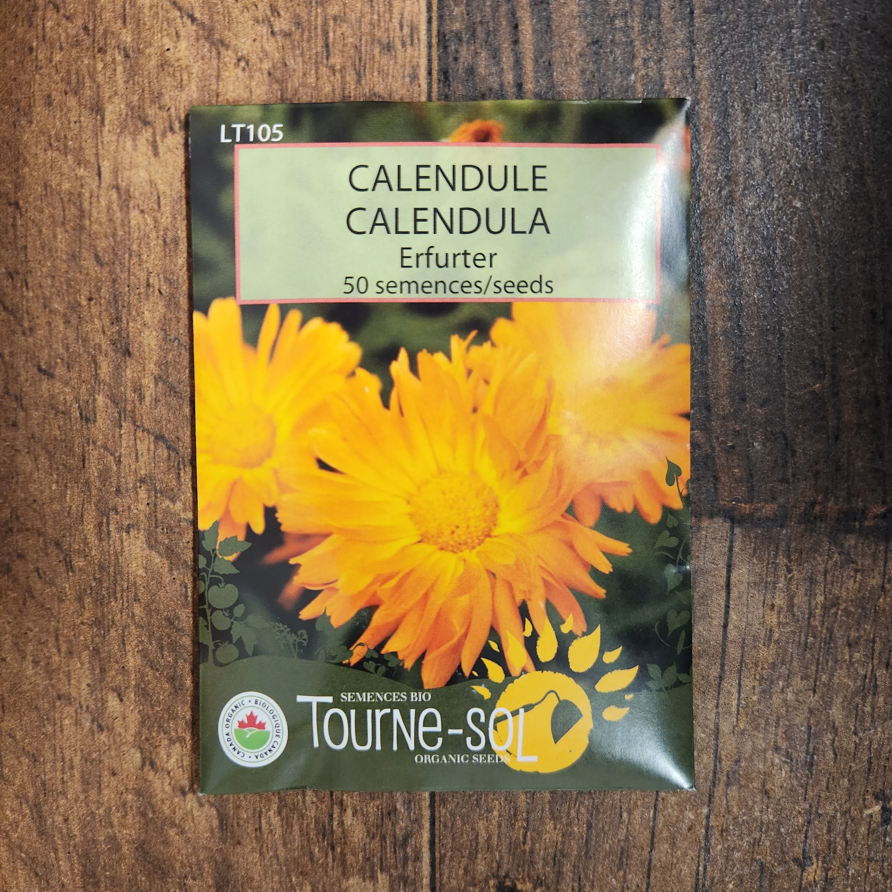 Calendula 'Erfurter' bio - Image 2