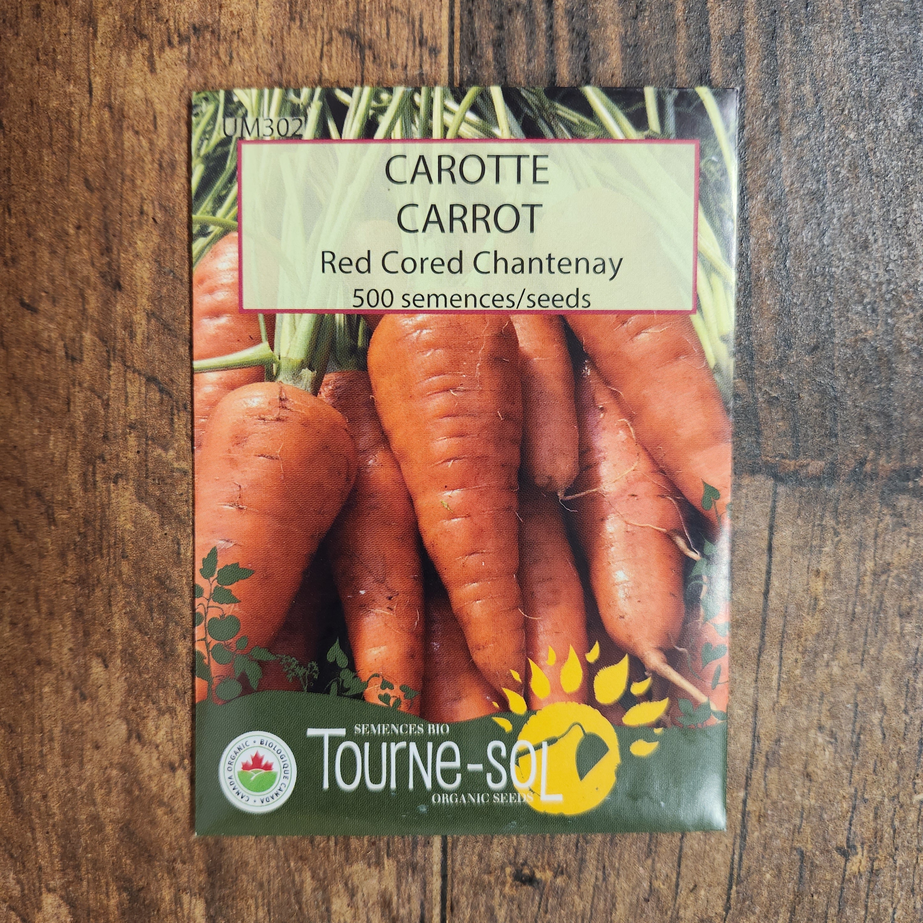 Carotte 'Red Cored Chantenay' bio - Image 2