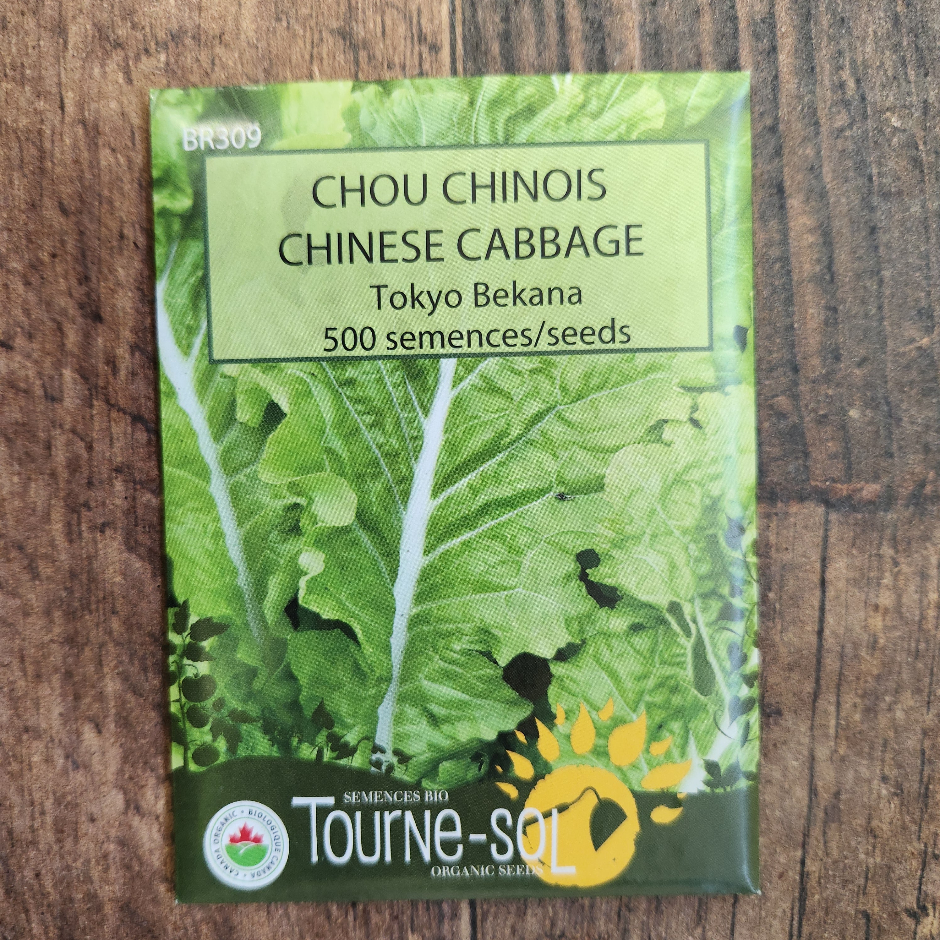 Chou chinois 'Tokyo Bekana' bio - Image 2