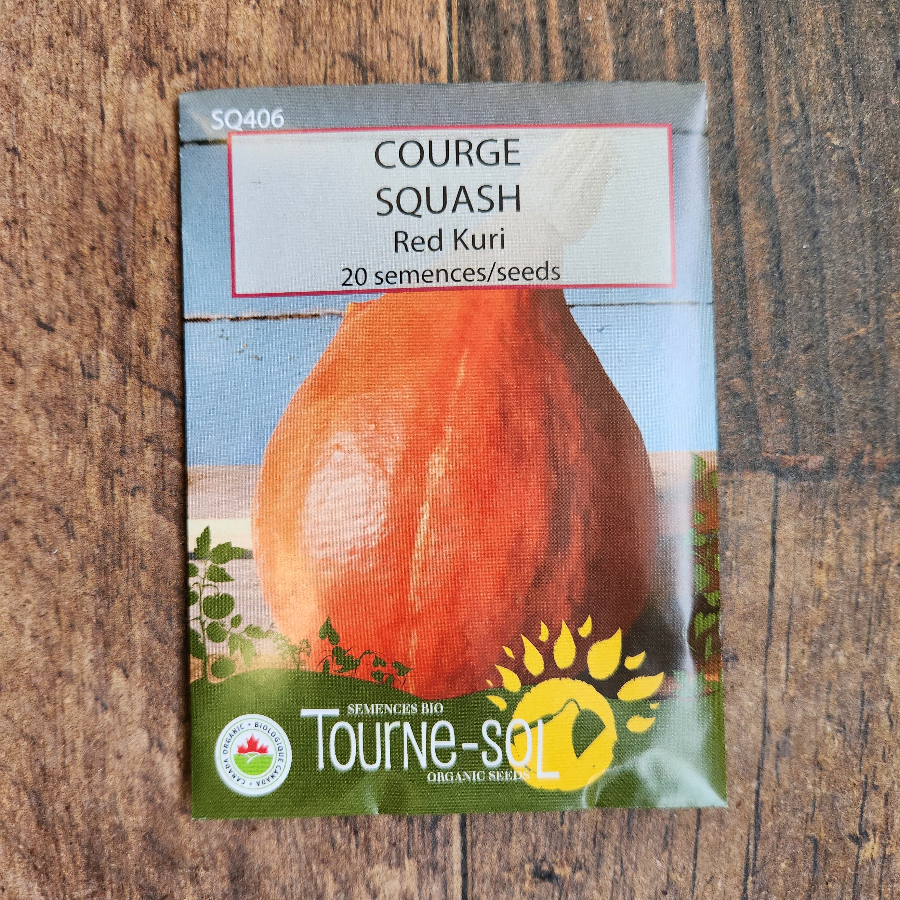 Courge 'Red Kuri' bio - Image 2