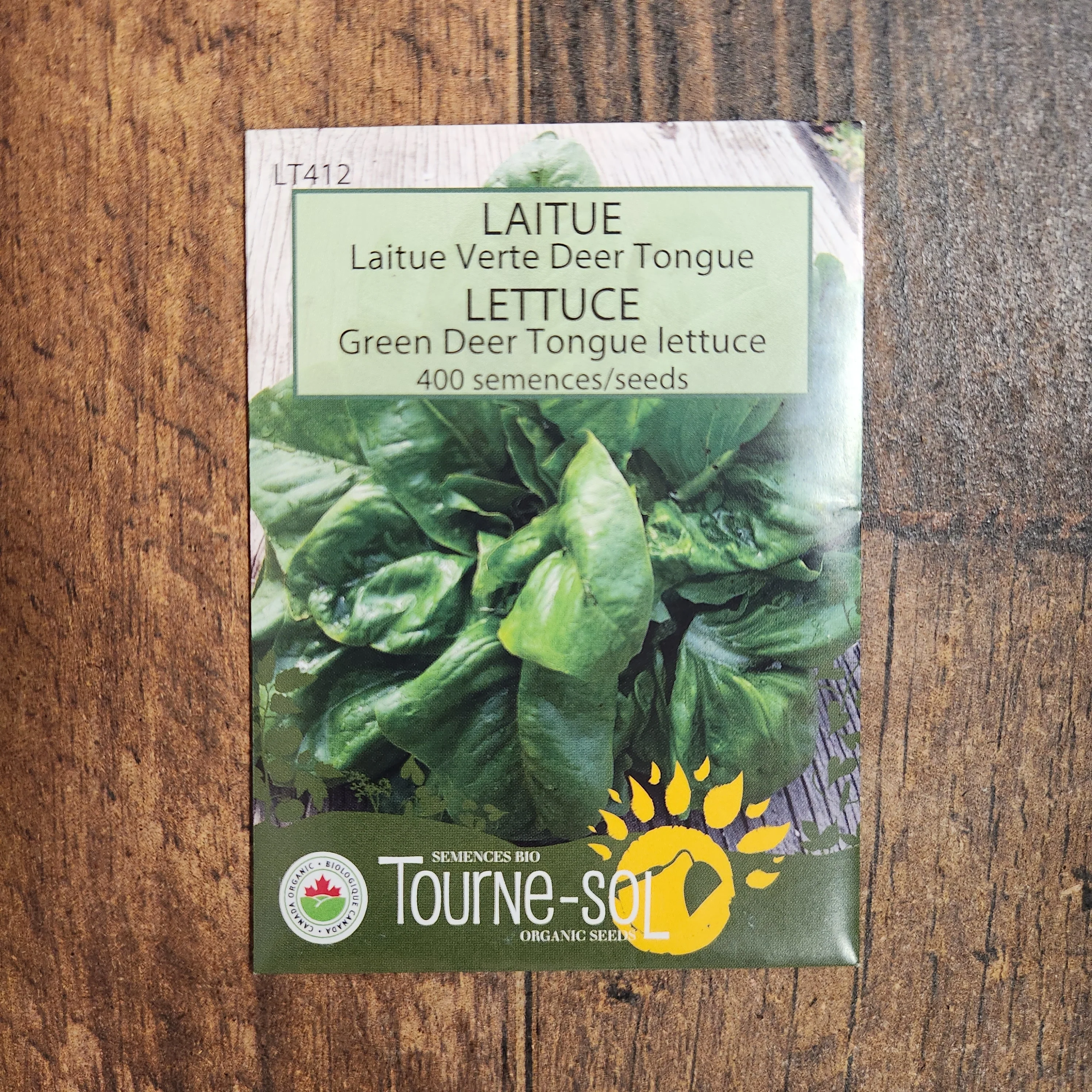 Laitue verte 'Deer Tongue' bio - Image 2