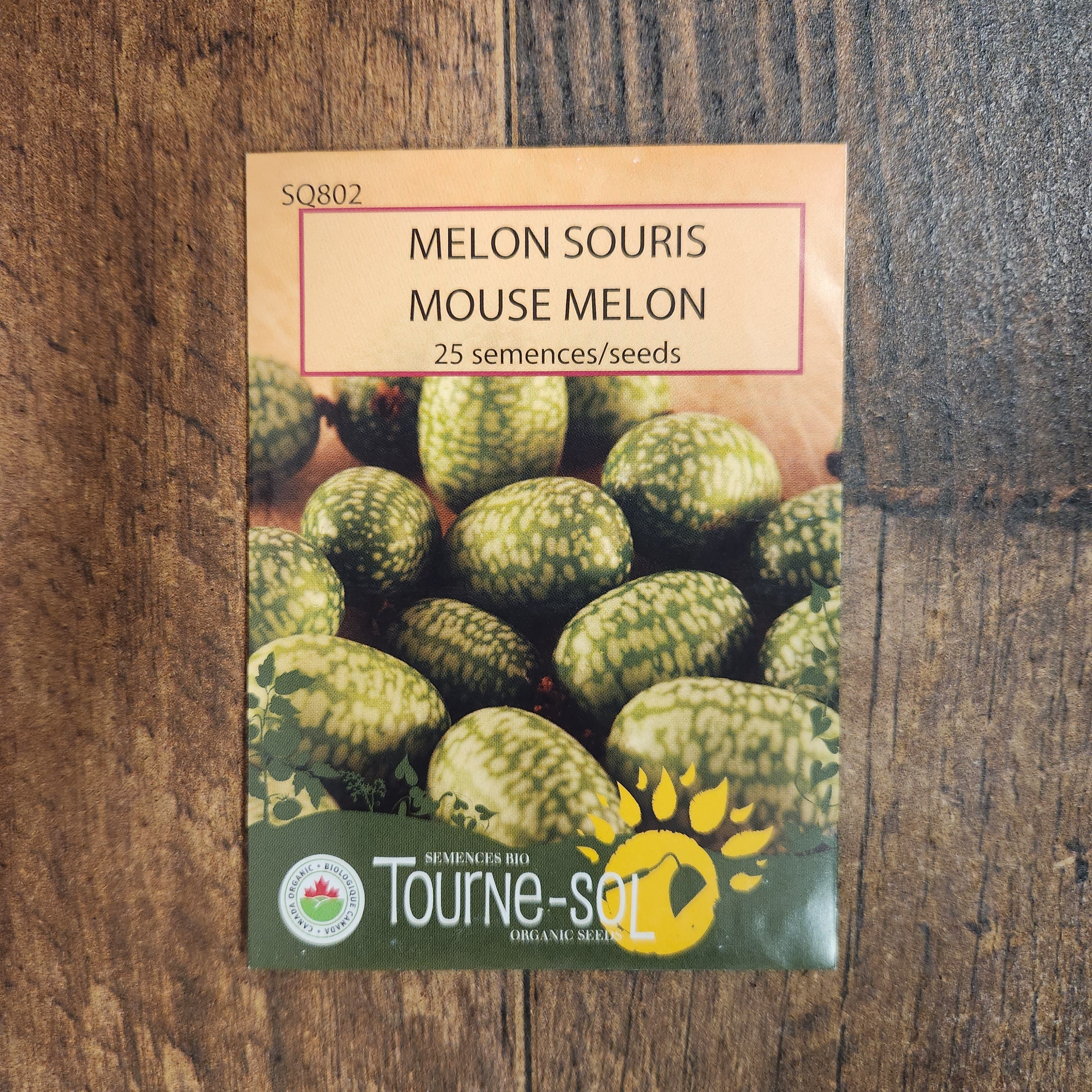 Concombre 'Melon Souris' bio - Image 2