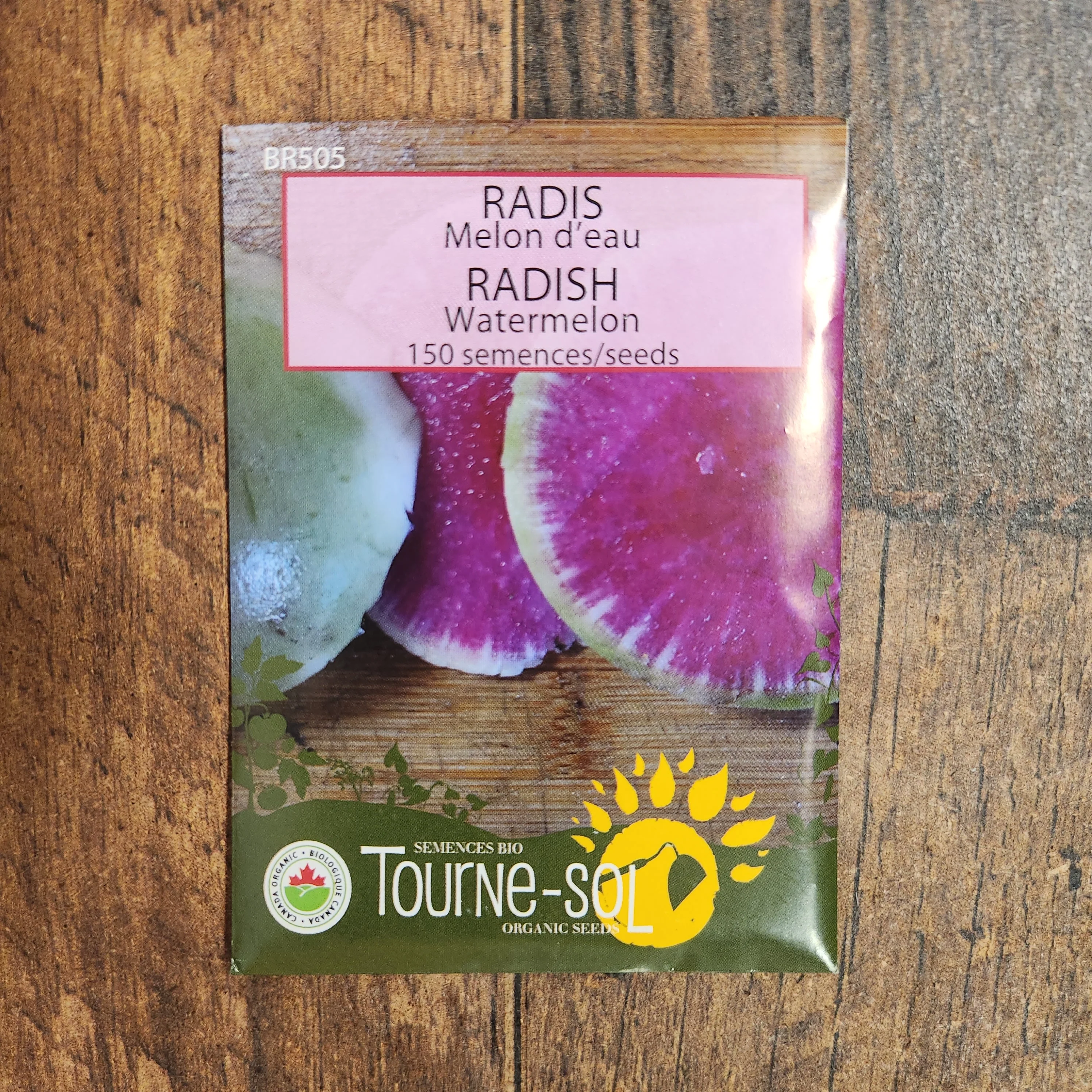 Radis 'Melon d'eau' bio - Image 2