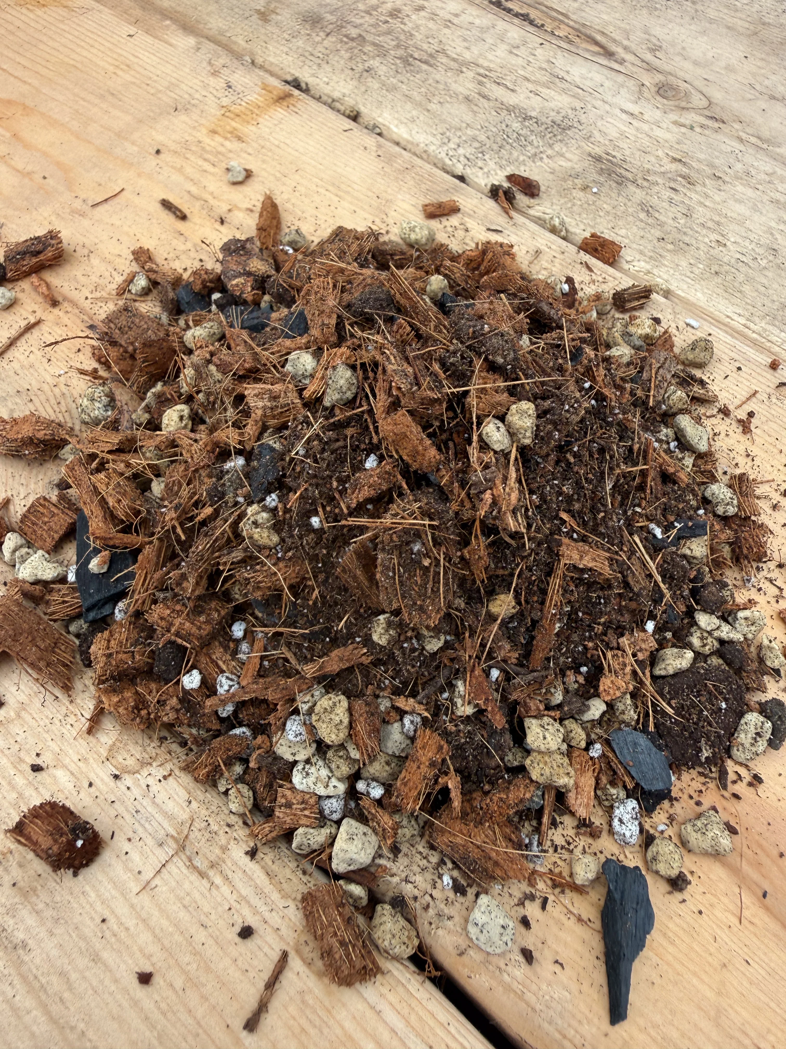 Terreau maison pour bonsaï feuillu - Image 2