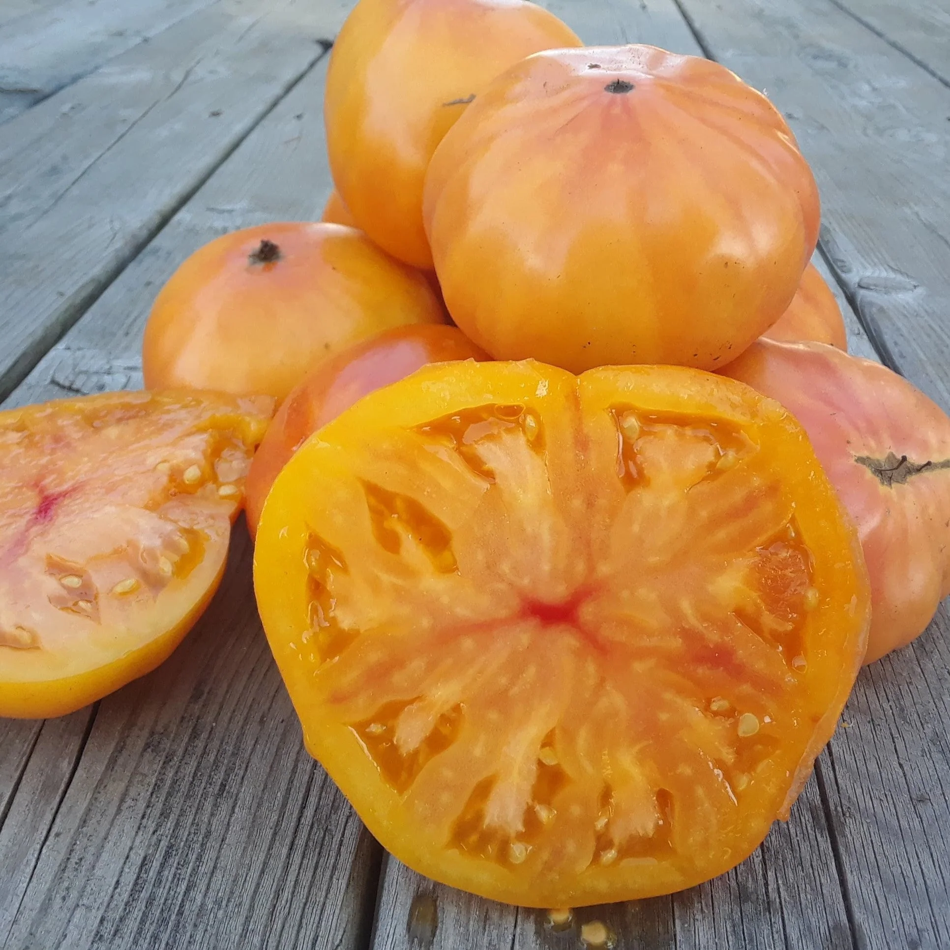 Tomate Beefsteak 'Ananas' bio