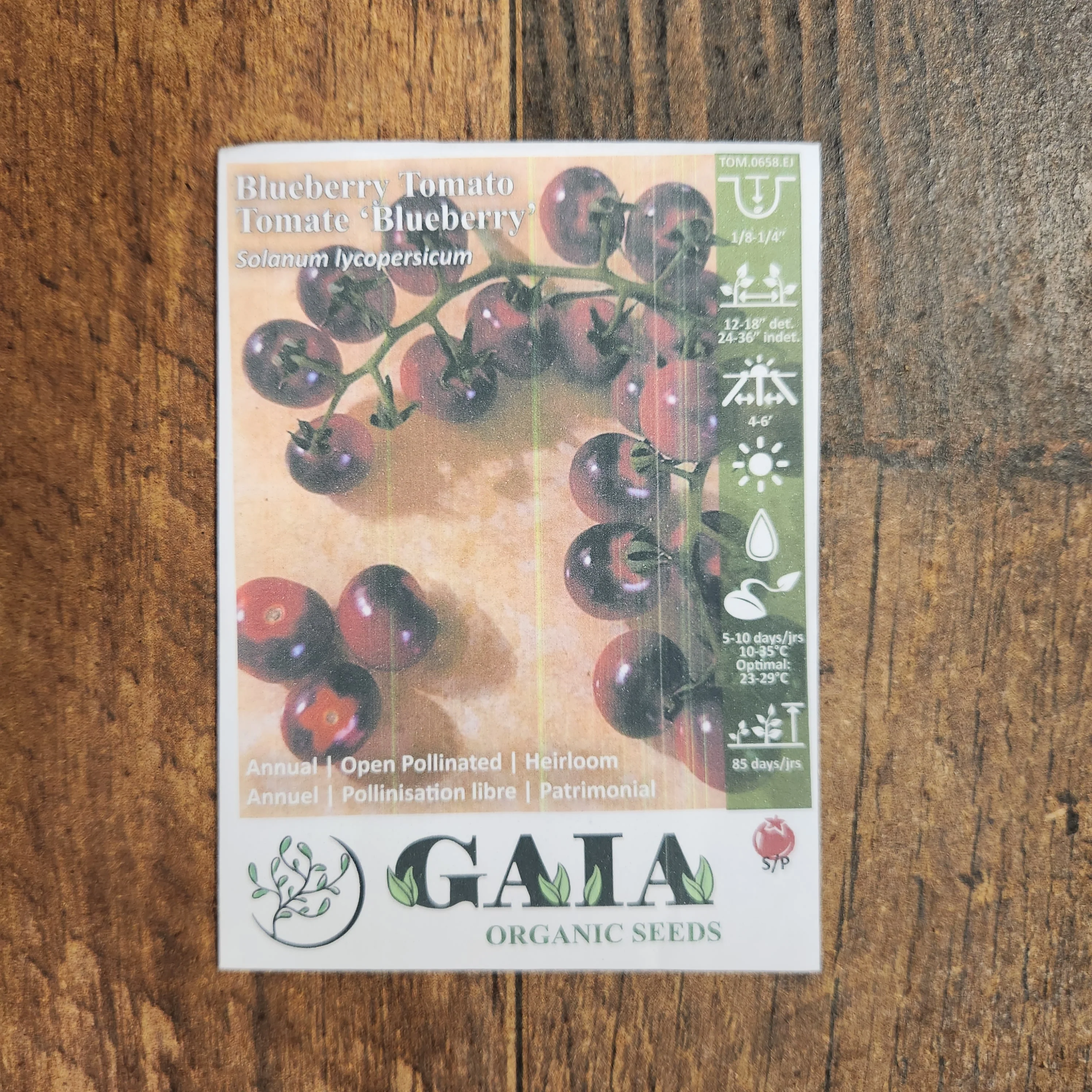 Tomate 'Blueberry' bio - Image 2