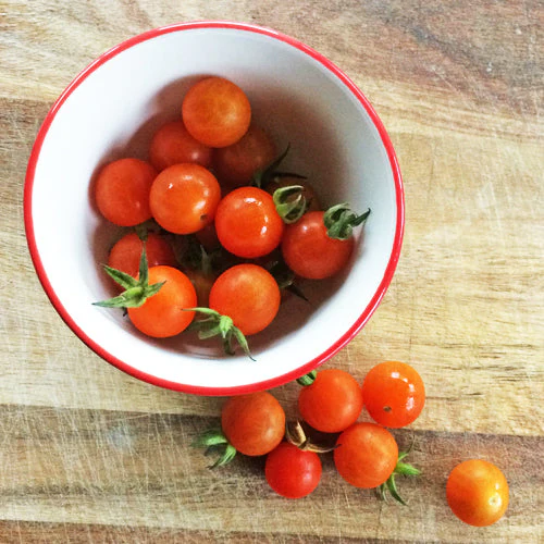 Tomate Cerise 'Petit Moineau' bio