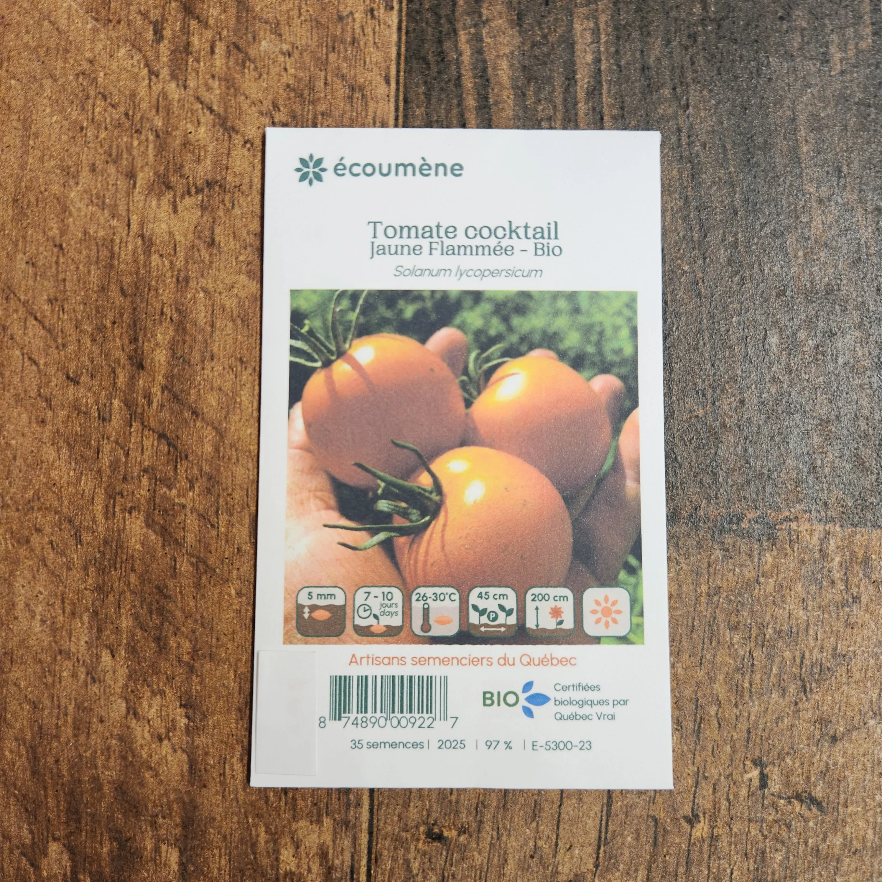 Tomate Cocktail 'Jaune Flammée' bio - Image 2