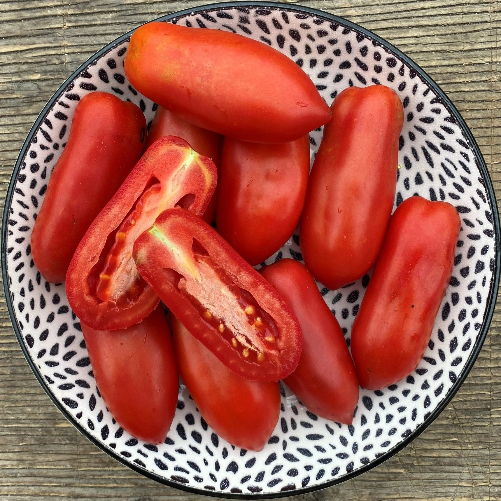Tomate Italienne 'Dix doigts de Naples' bio