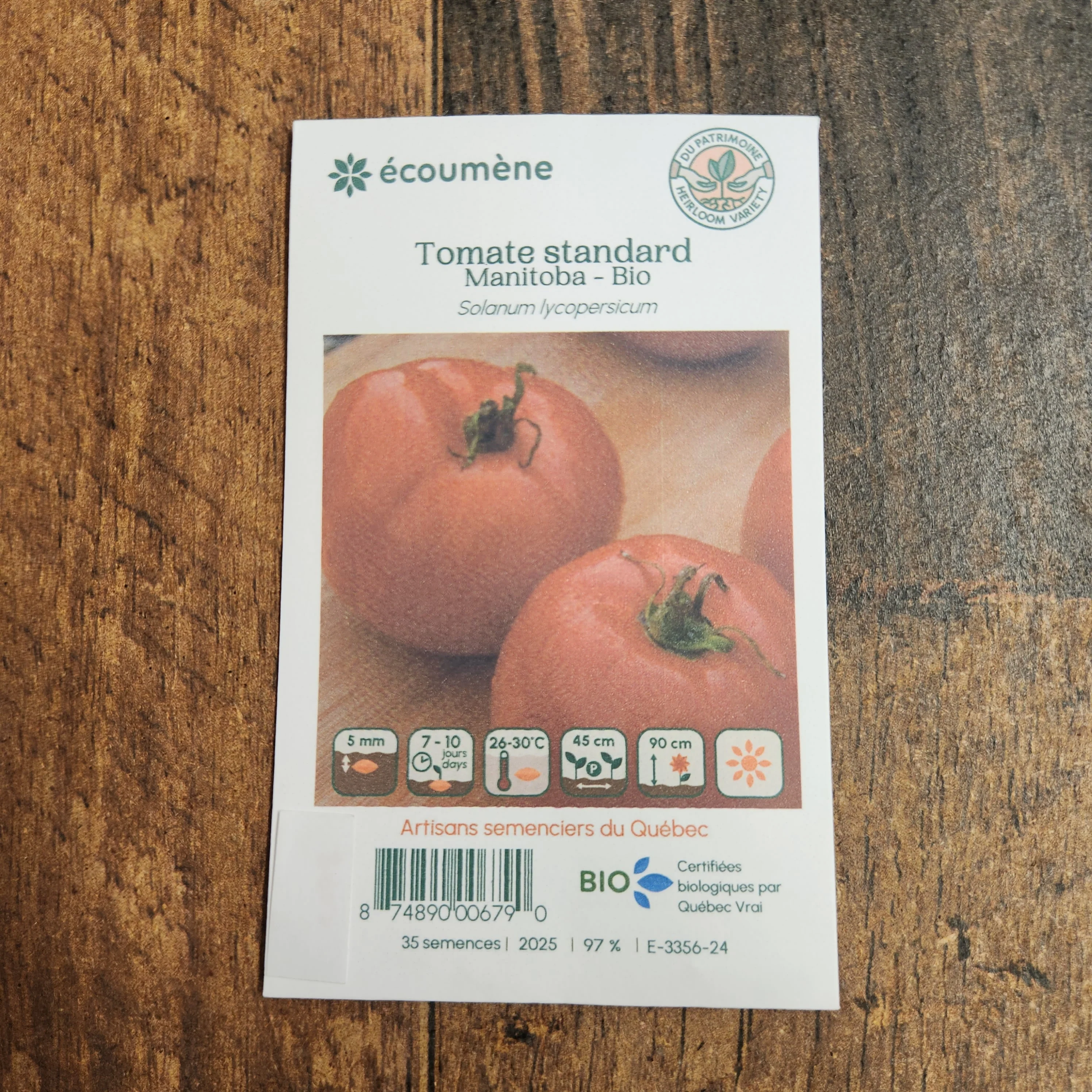 Tomate 'Manitoba' bio - Image 2