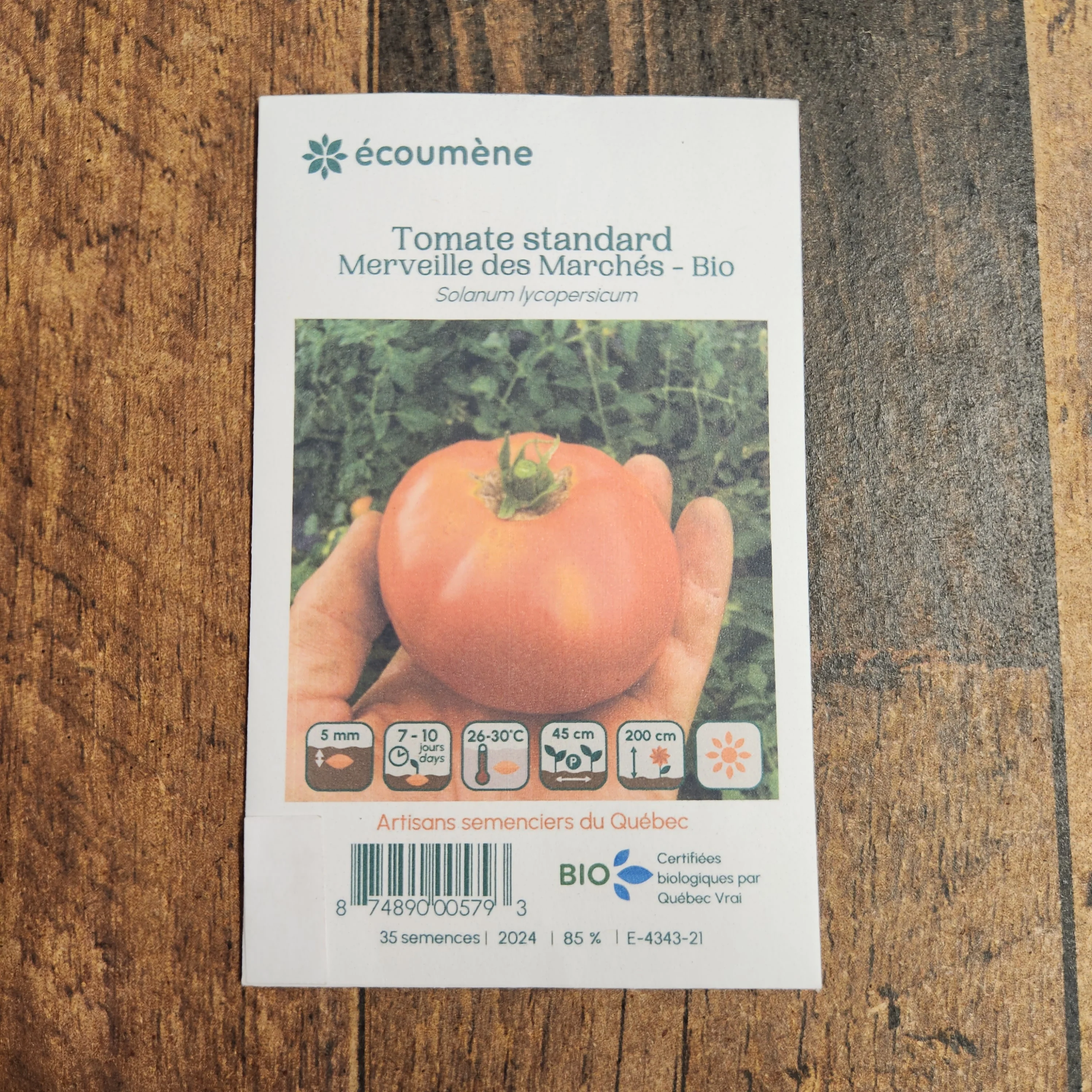 Tomate 'Merveille des Marchés' bio - Image 2