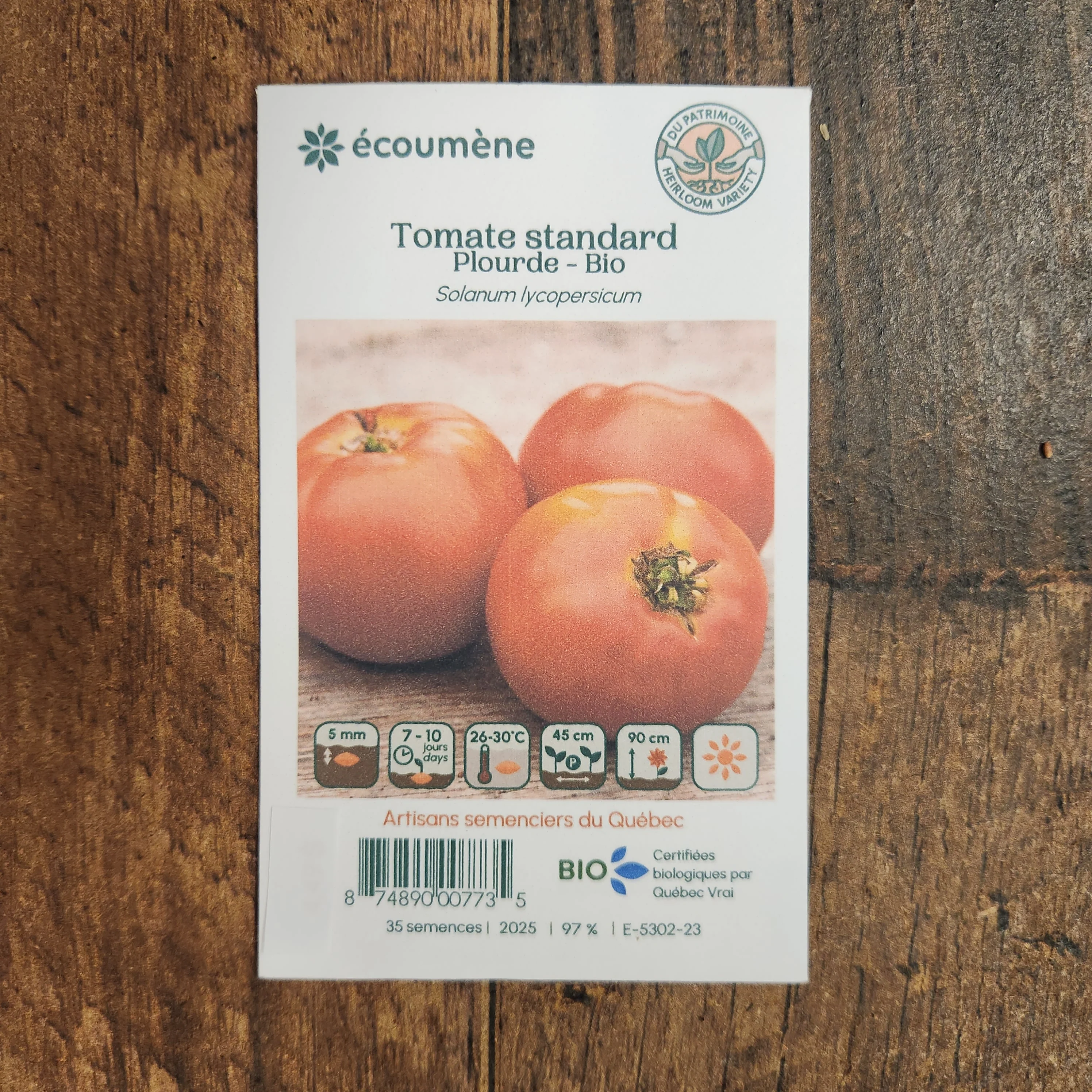 Tomate 'Plourde' bio - Image 2