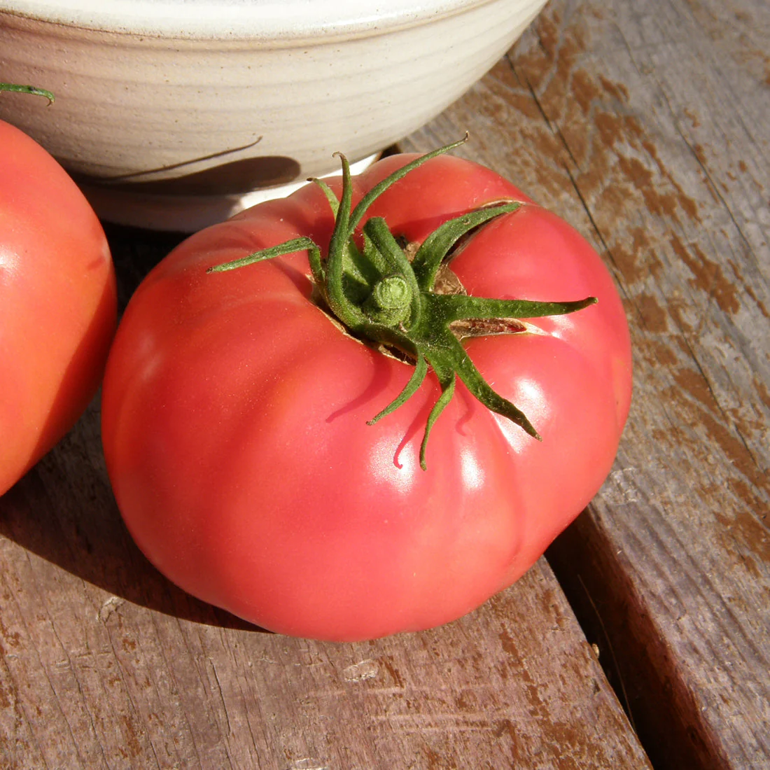 Tomate 'Savignac' bio