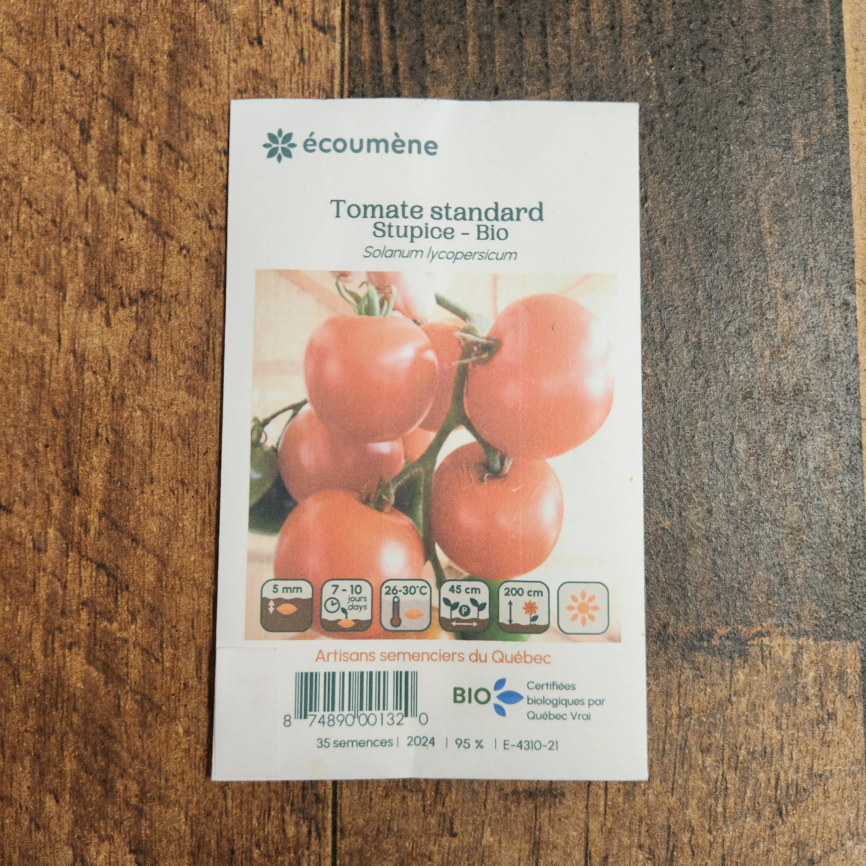Tomate 'Stupice' bio - Image 2