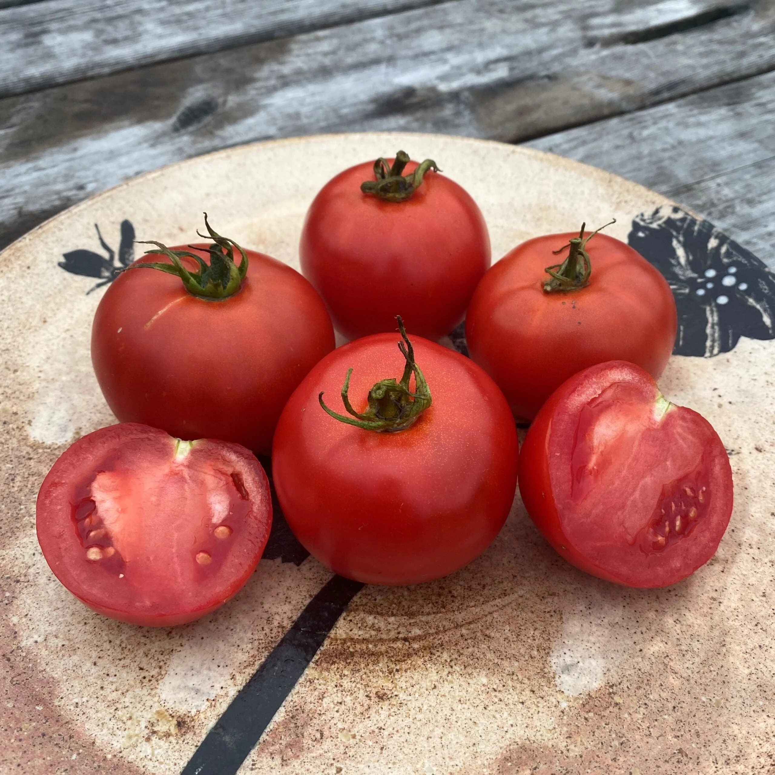 Tomate 'White Pour' bio