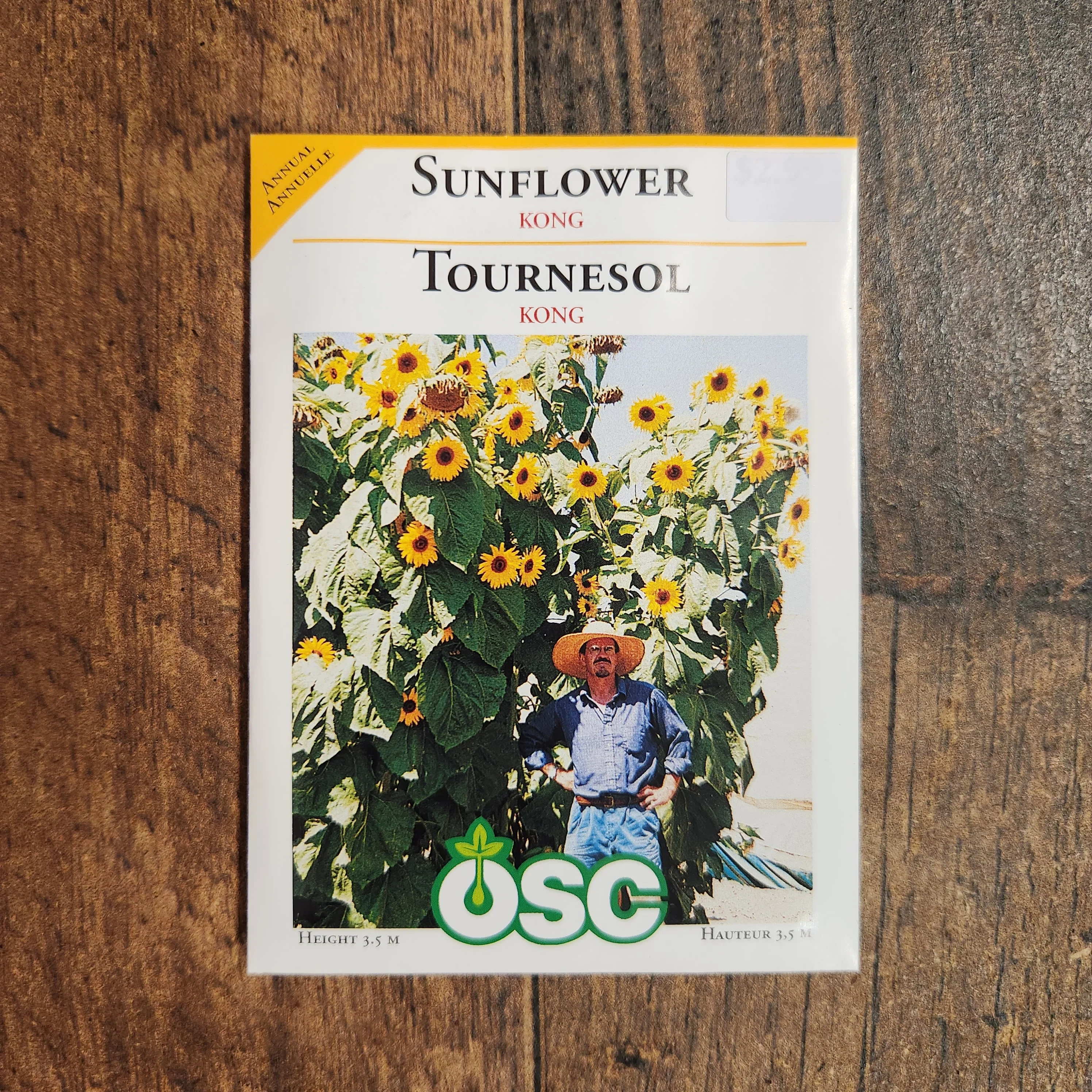 Tournesol 'Kong' - Image 2