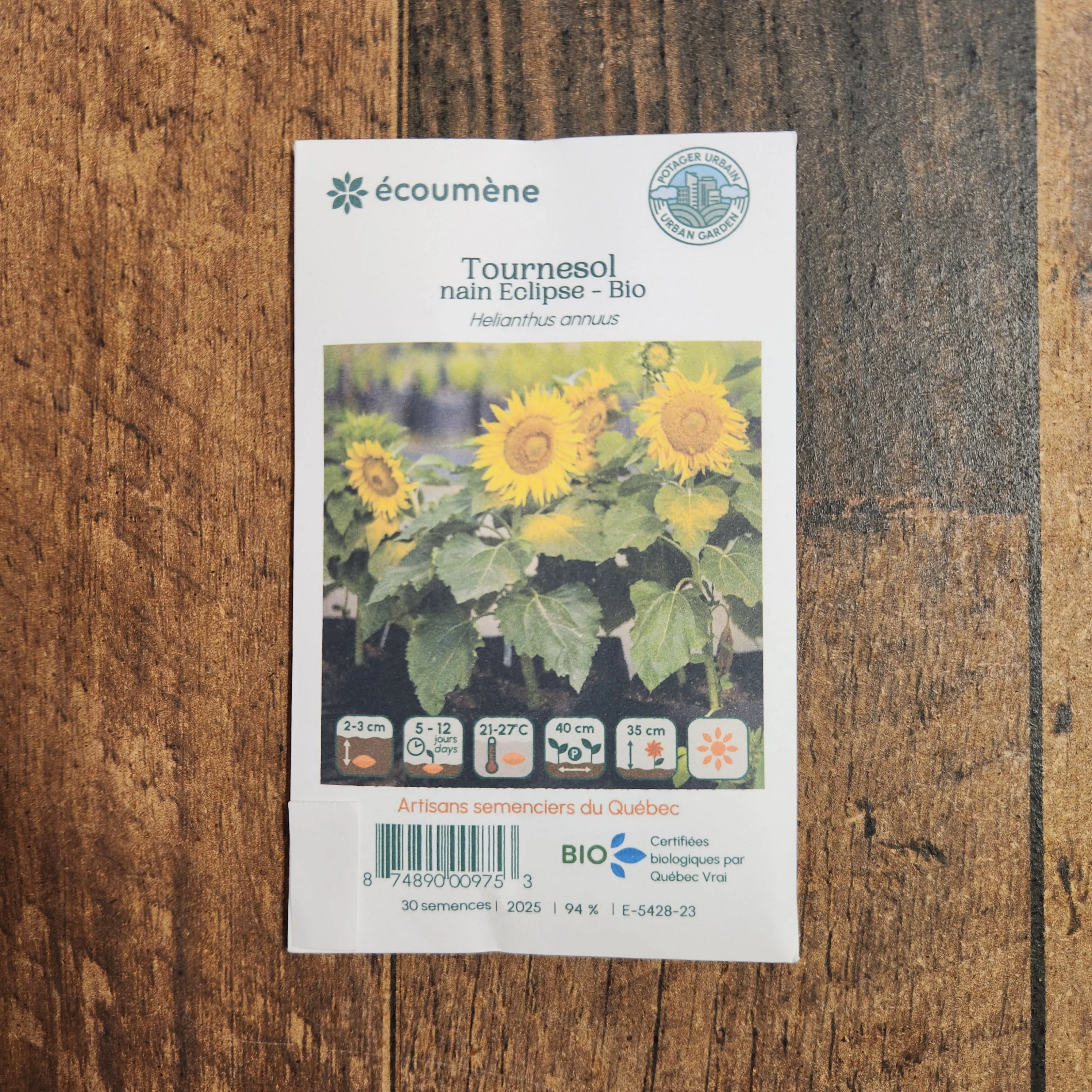 Tournesol nain 'Éclipse' bio - Image 2