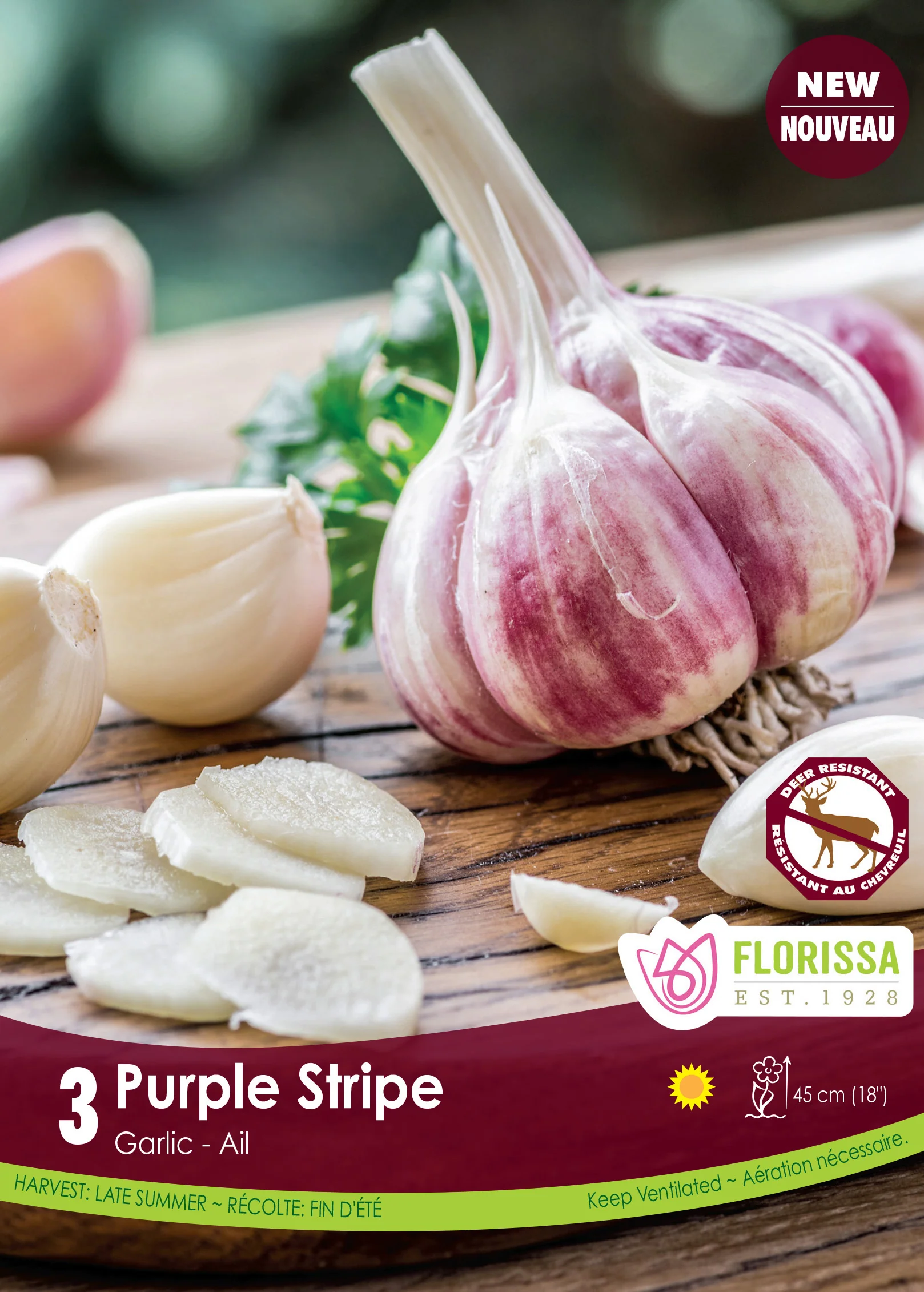 Ail 'Purple Stripe'