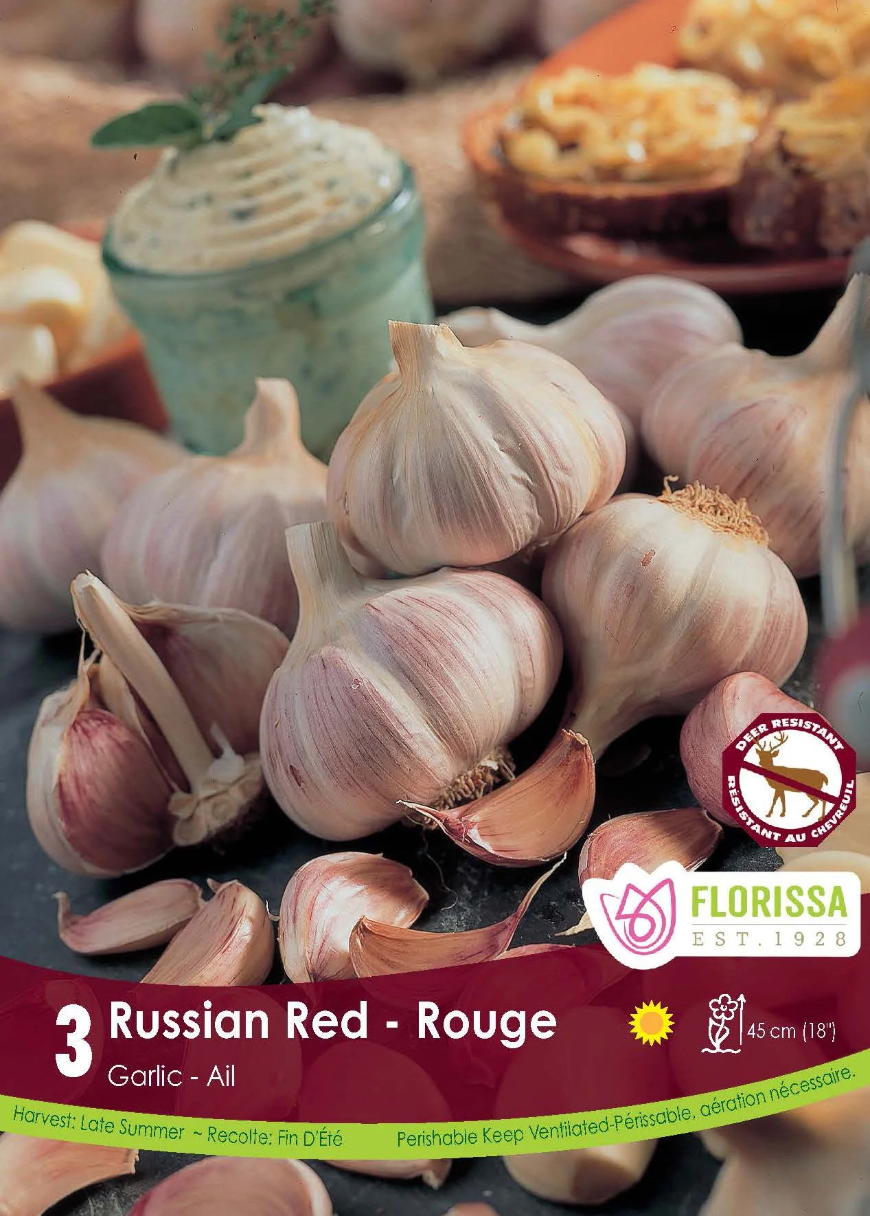 Ail 'Rouge Russe'