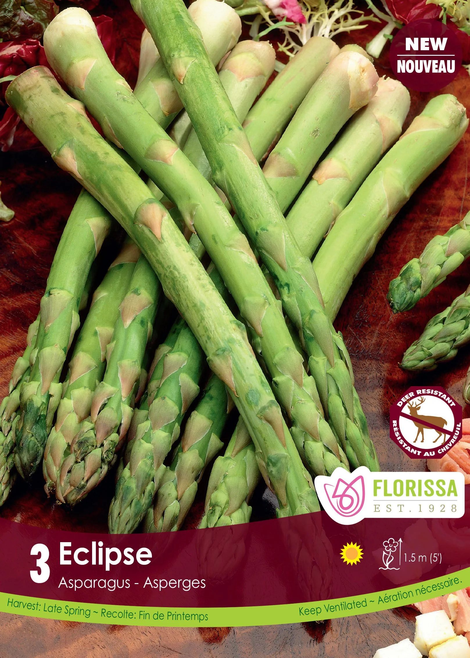 Asperge 'Éclipse'