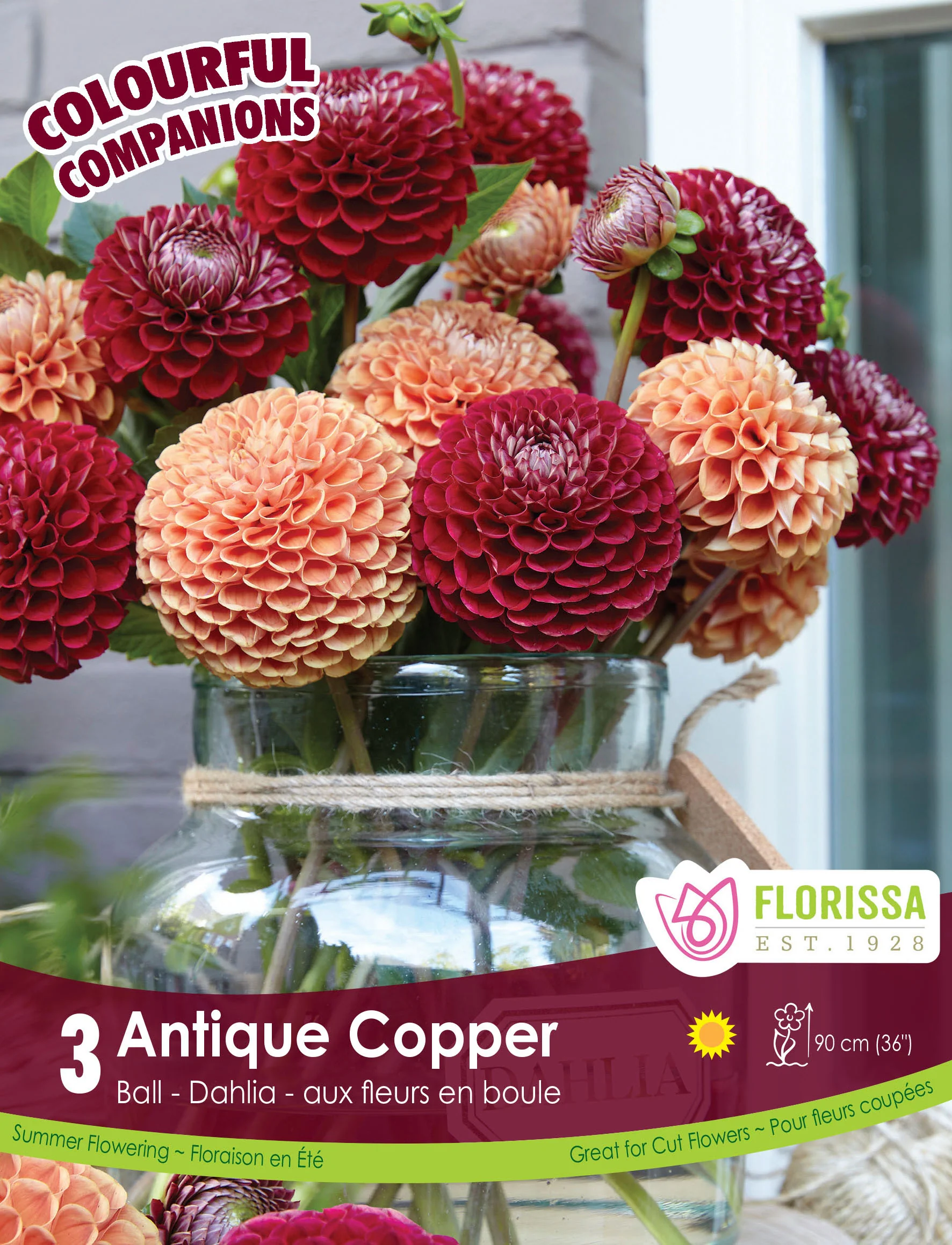 Harmonie 'Antique Copper'